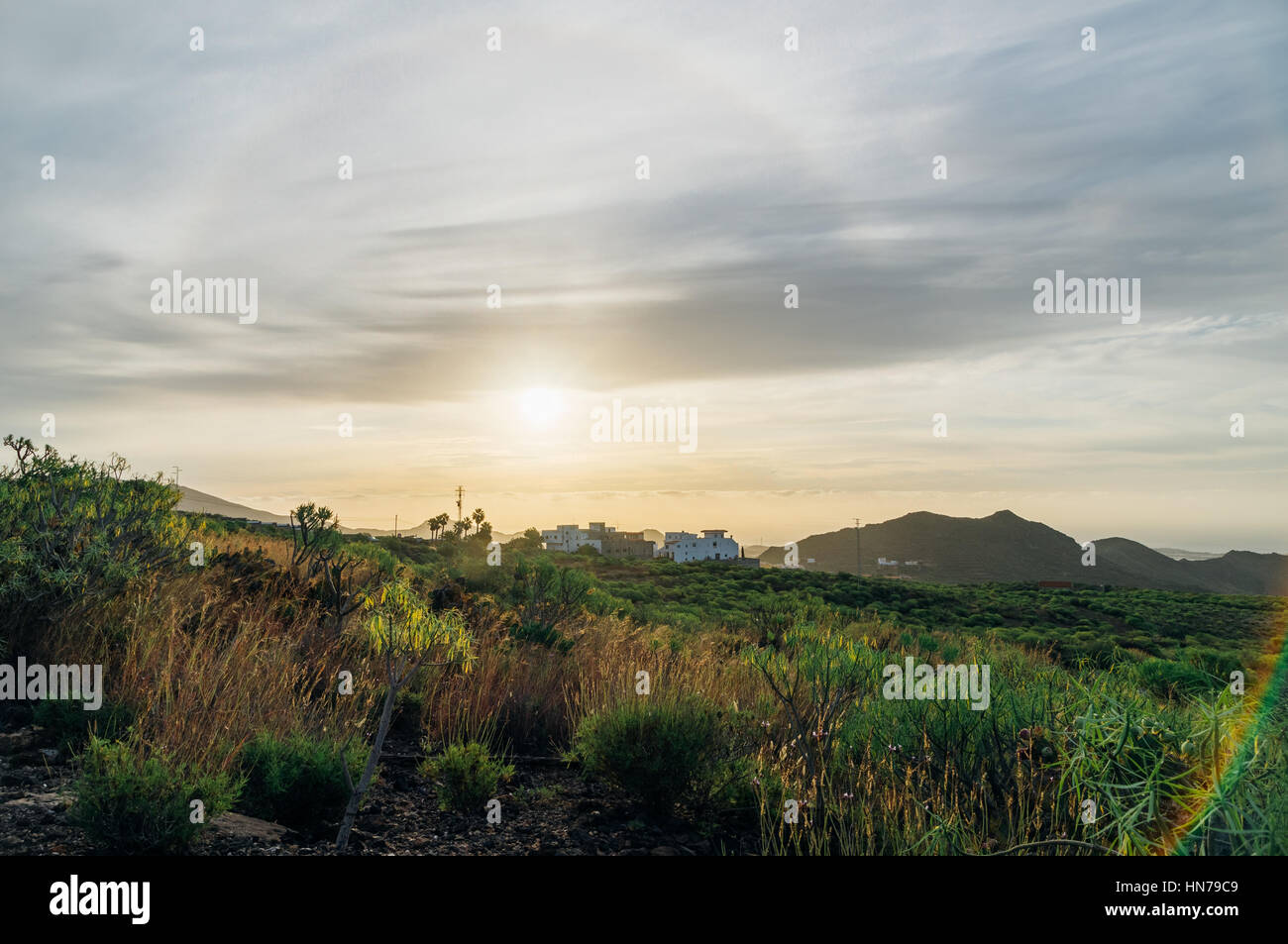 Rural landscape of Tenerife against morning sun with halo effect. Canary islands, Spain Stock Photo
