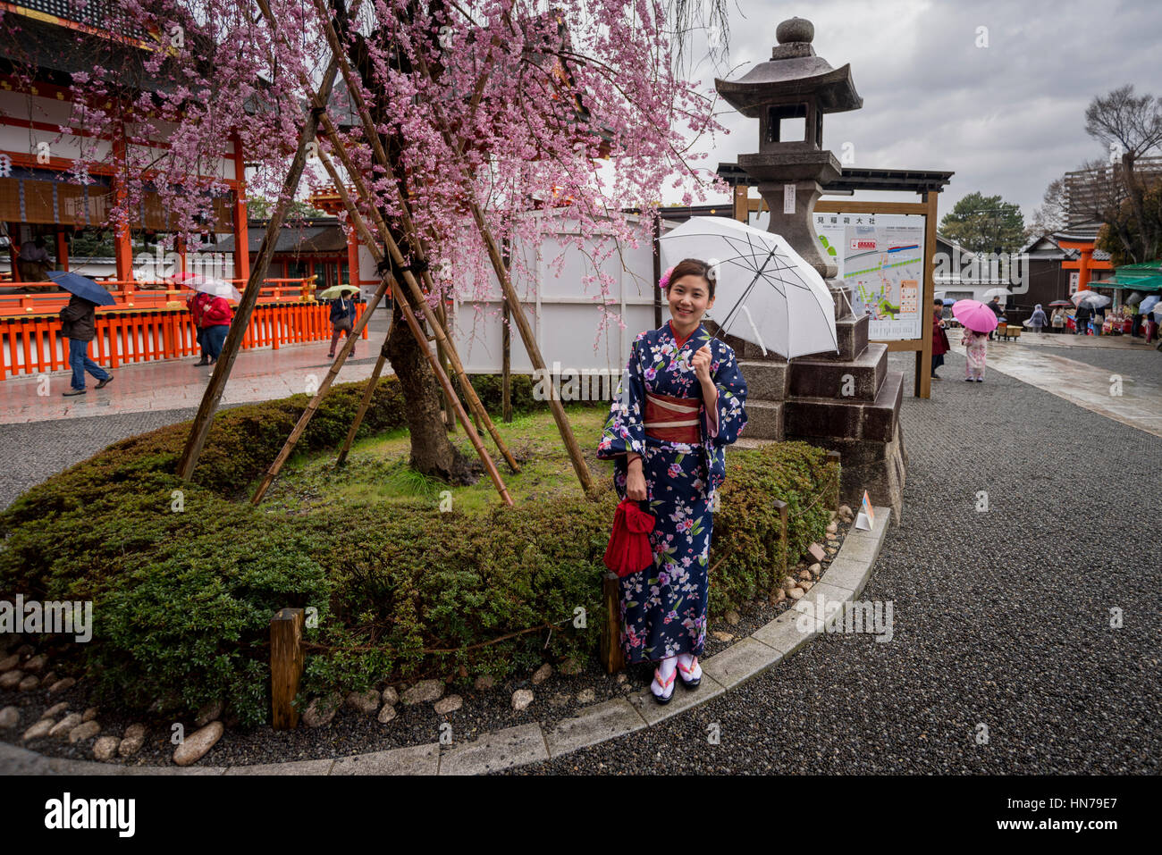 Young female wearing traditional Japanese costume Kimono, Fushimi Inari Taisha (Shinto shrine), Kyoto, Japan Stock Photo