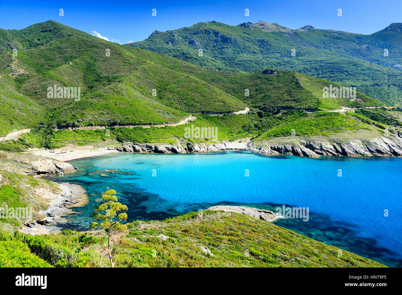 Anse D'Aliso Beach, Cap Corse ,Corsica, France Stock Photo Alamy