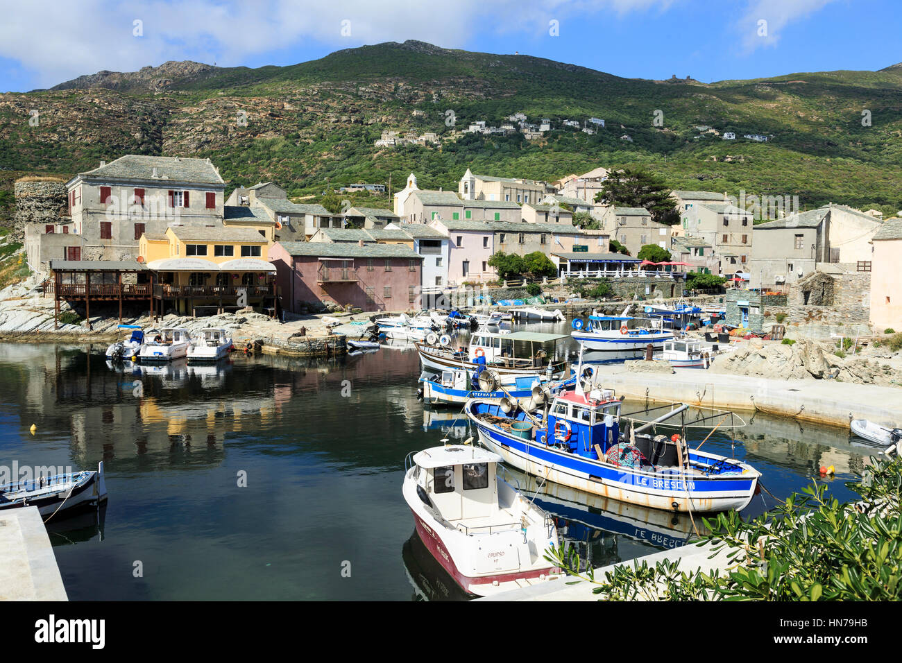 Harbour with fishing boats at Port de Centuri, Cap Corse ,Corsica, France Stock Photo