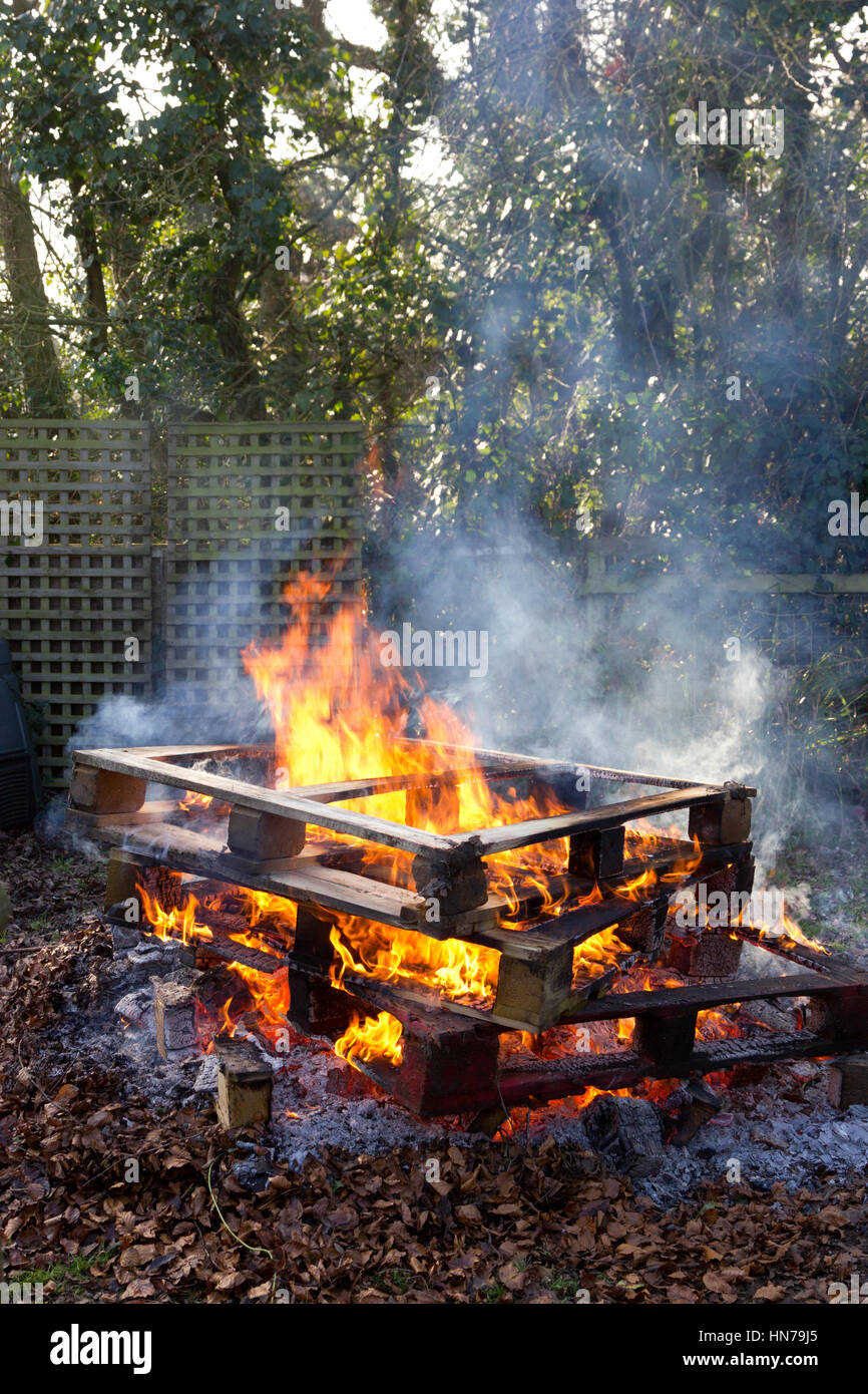 Burning wooden pallets on a garden bonfire Stock Photo