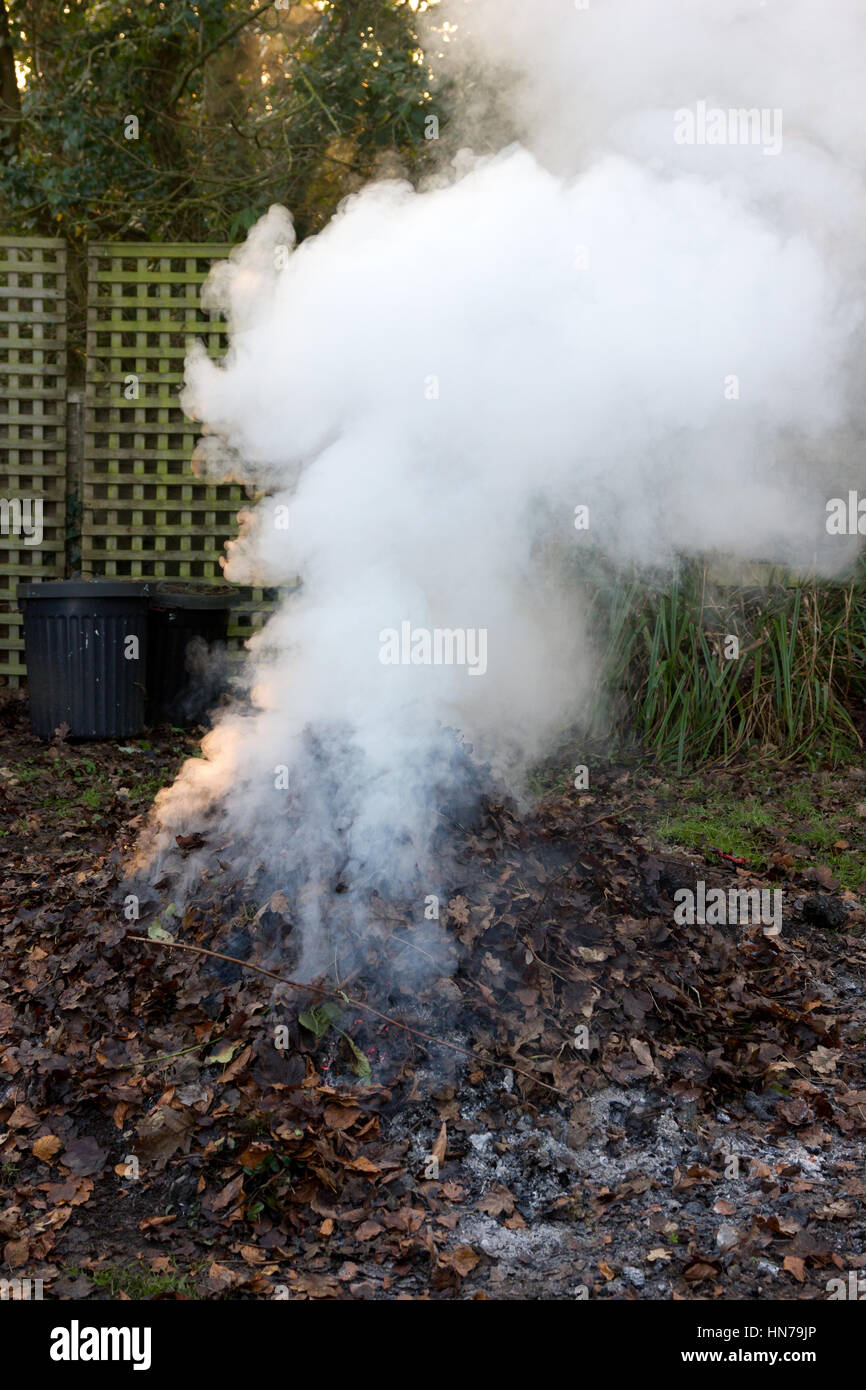 Burning wooden pallets on a garden bonfire Stock Photo - Alamy