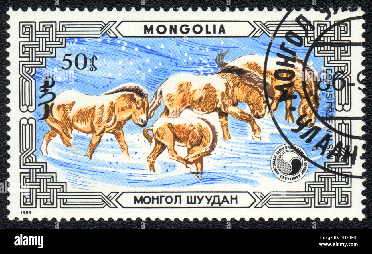 A postage stamp printed in Mongolia   shows  a wild horses  (Equus przewalskii) in  winter ,1986 Stock Photo