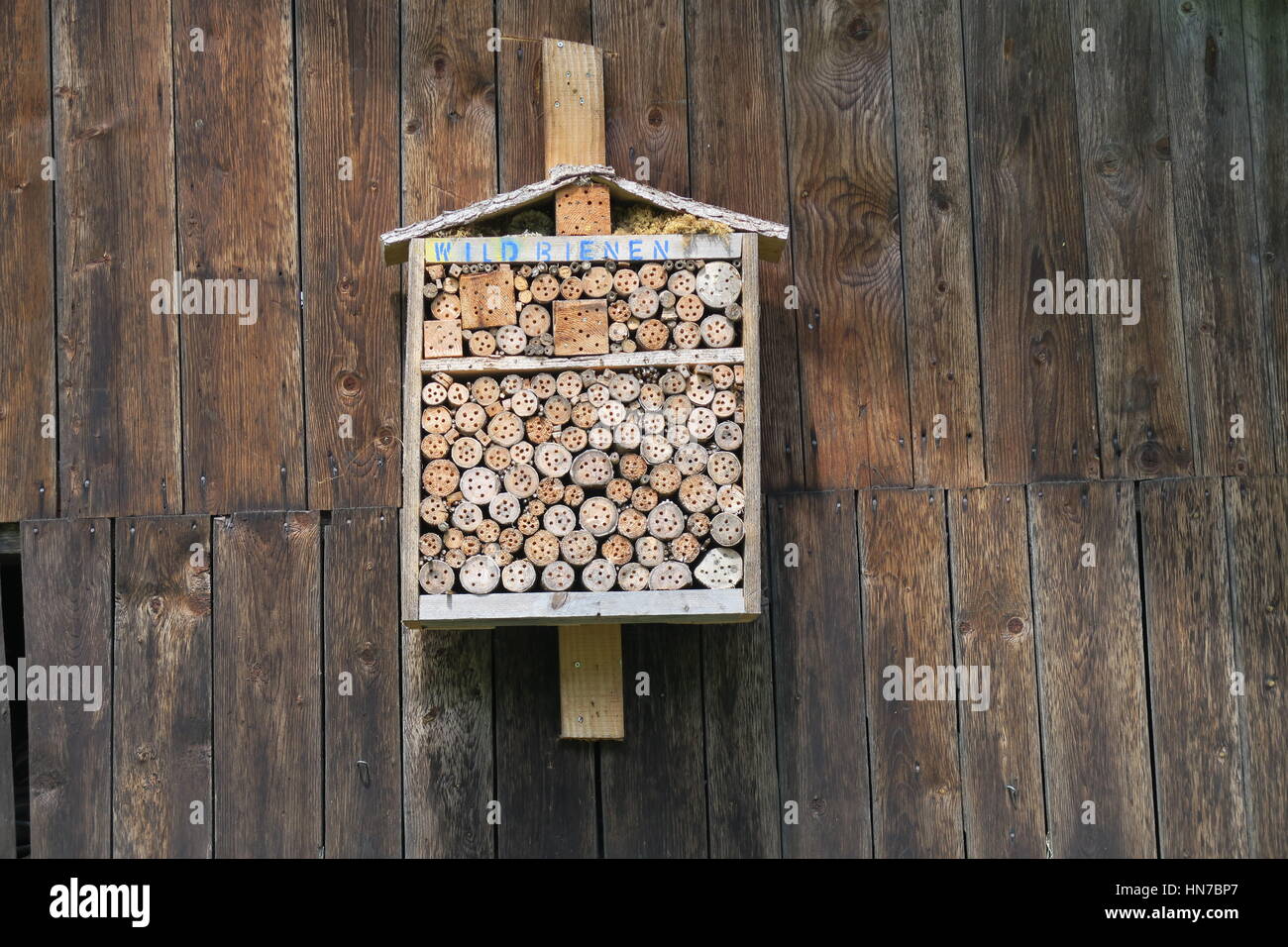 Close up of bee hives hi-res stock photography and images - Alamy