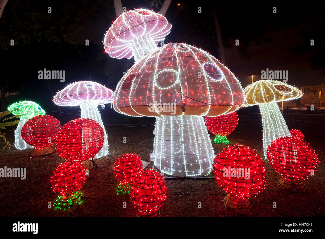 DUBAI, UAE - DEC 6, 2016: Beautiful mushrooms installation at the Dubai Garden Glow family theme park illuminated at night. United Arab Emirates, Midd Stock Photo