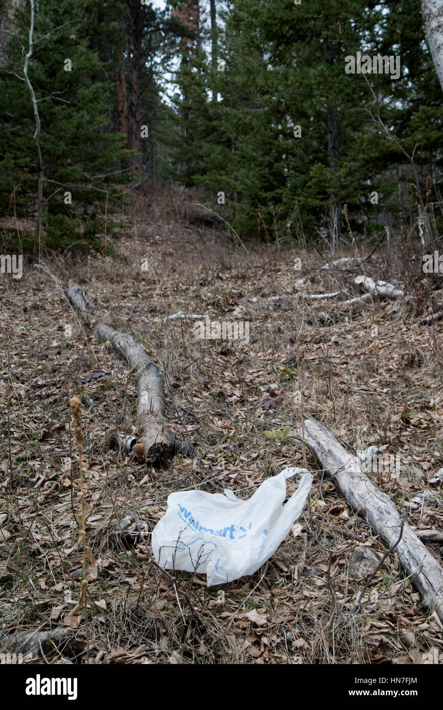 South Dakota.  Spearfish Canyon. Wal-Mart bag left on the ground in the forest. Stock Photo
