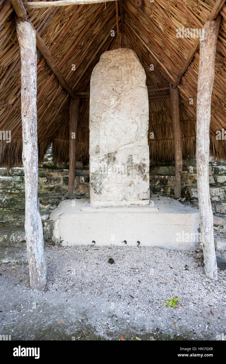 Coba Mayan ruins, Mayan artefact, Ancient Mayan civilization, Yucatan Peninsula, Mexican state of Quintana Roo, Mexico Stock Photo