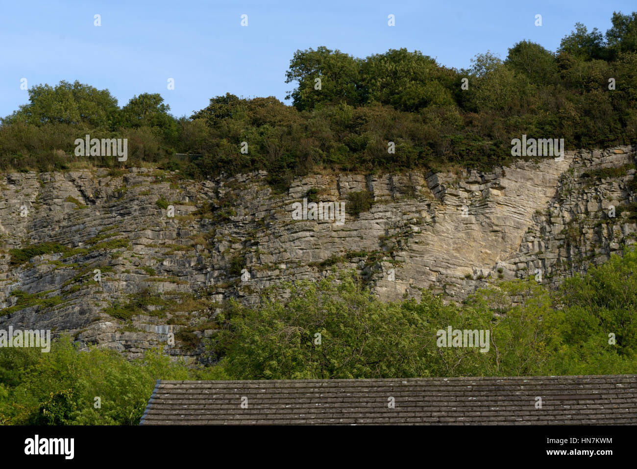 Prestatyn Hillside, Carboniferous Limestone Cliff Stock Photo
