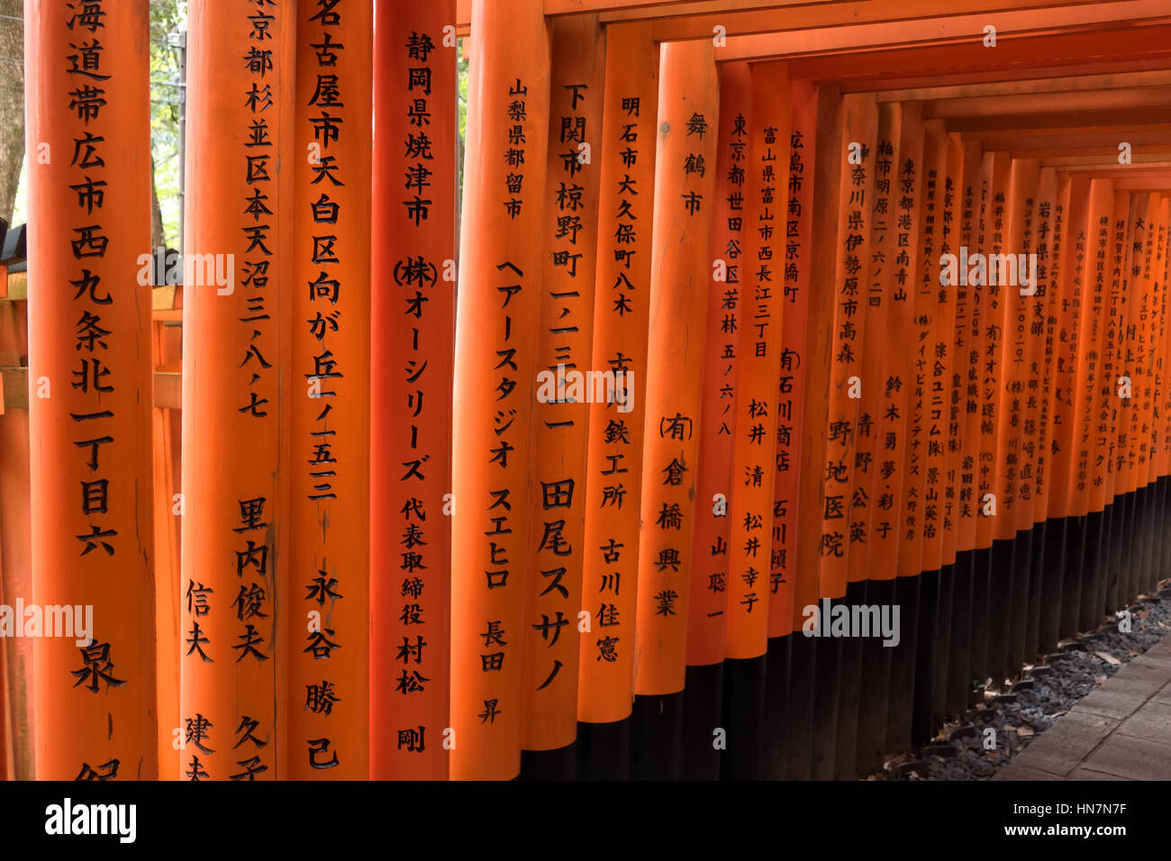 Torii Gates In Forest Fushimi High Resolution Stock Photography And Images Alamy Torii Gates In Forest Fushimi High Resolution Stock Photography And Images Alamy