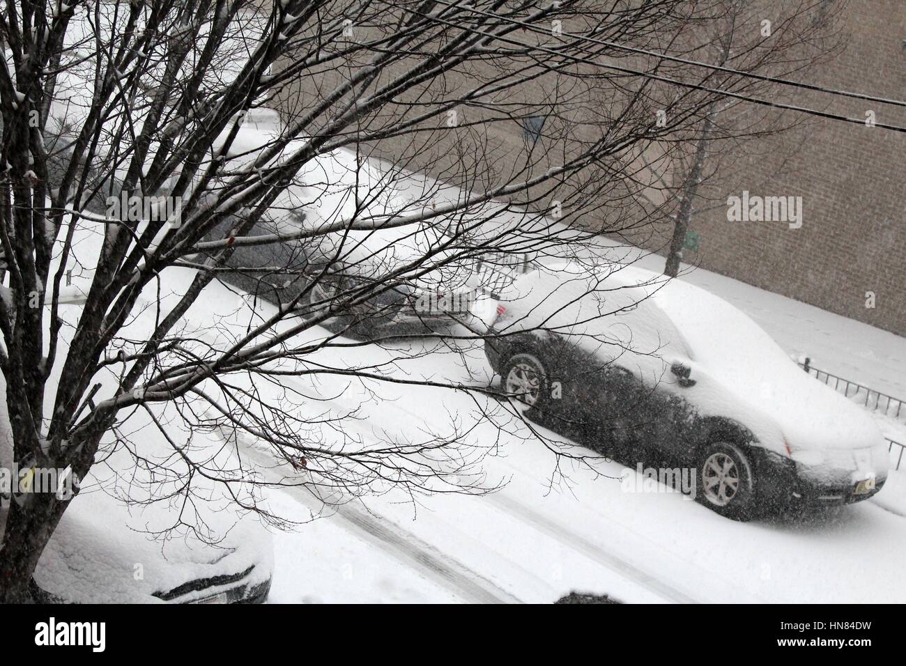 Snowstorm Hits Northeast U.S. area, Bronx, New York, USA Stock Photo
