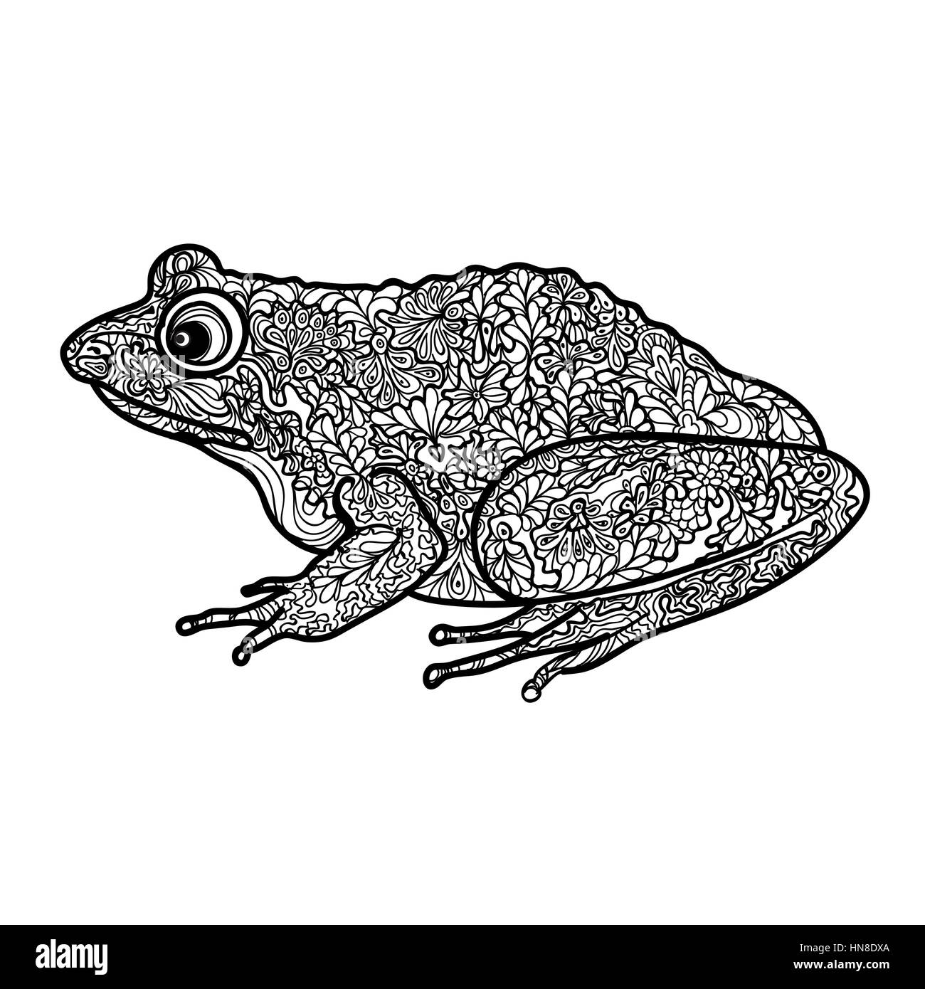 Frog isolated. Black and white ornamental doodle frog illustration with zentangle decorative ornament Stock Vector