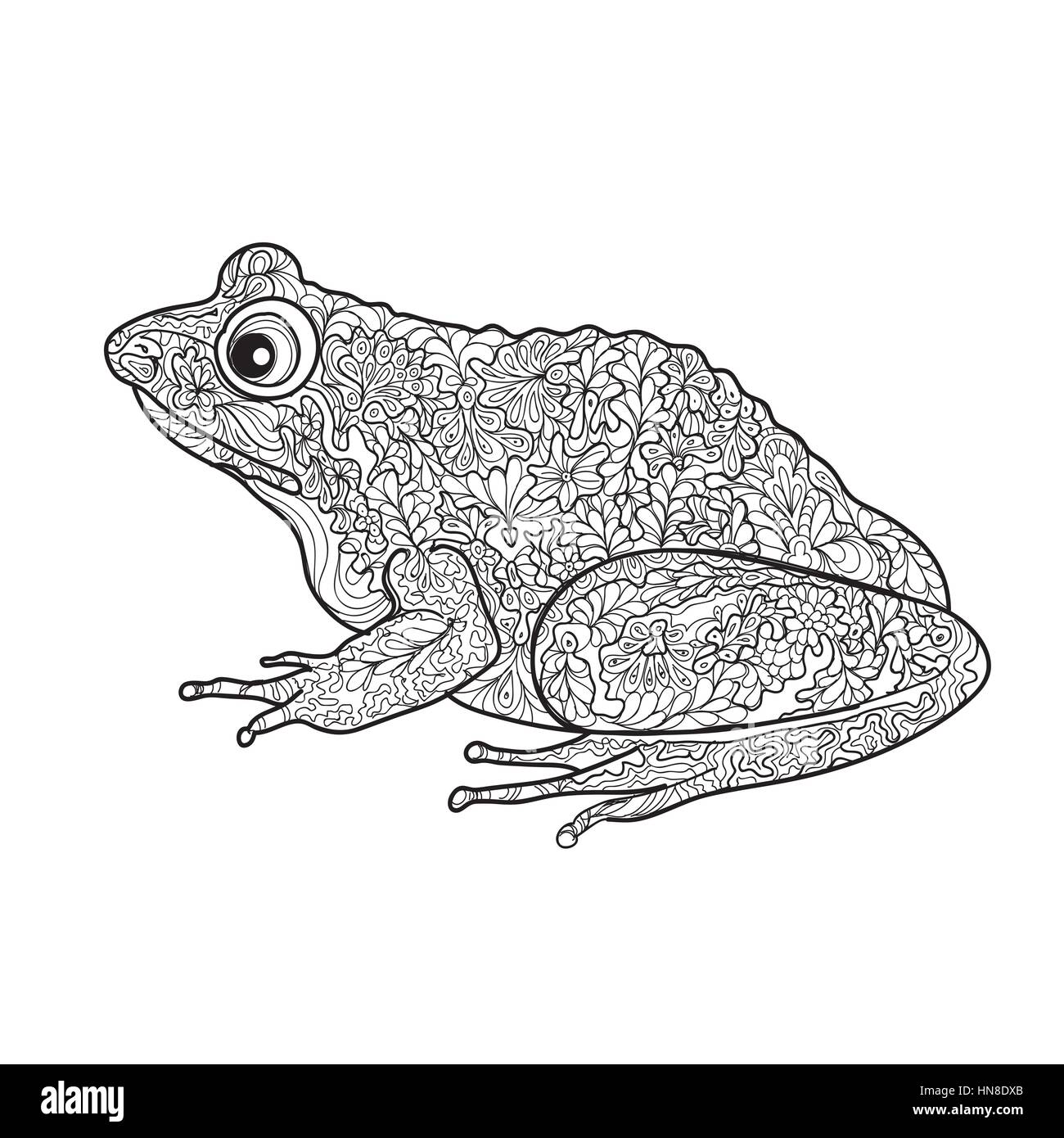 Frog isolated. Black and white ornamental doodle frog illustration with zentangle decorative ornament Stock Vector