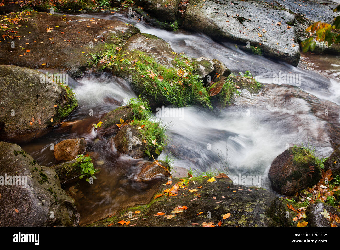Closeup on small rocky creek in autumn with bits of grass and fallen leaves Stock Photo
