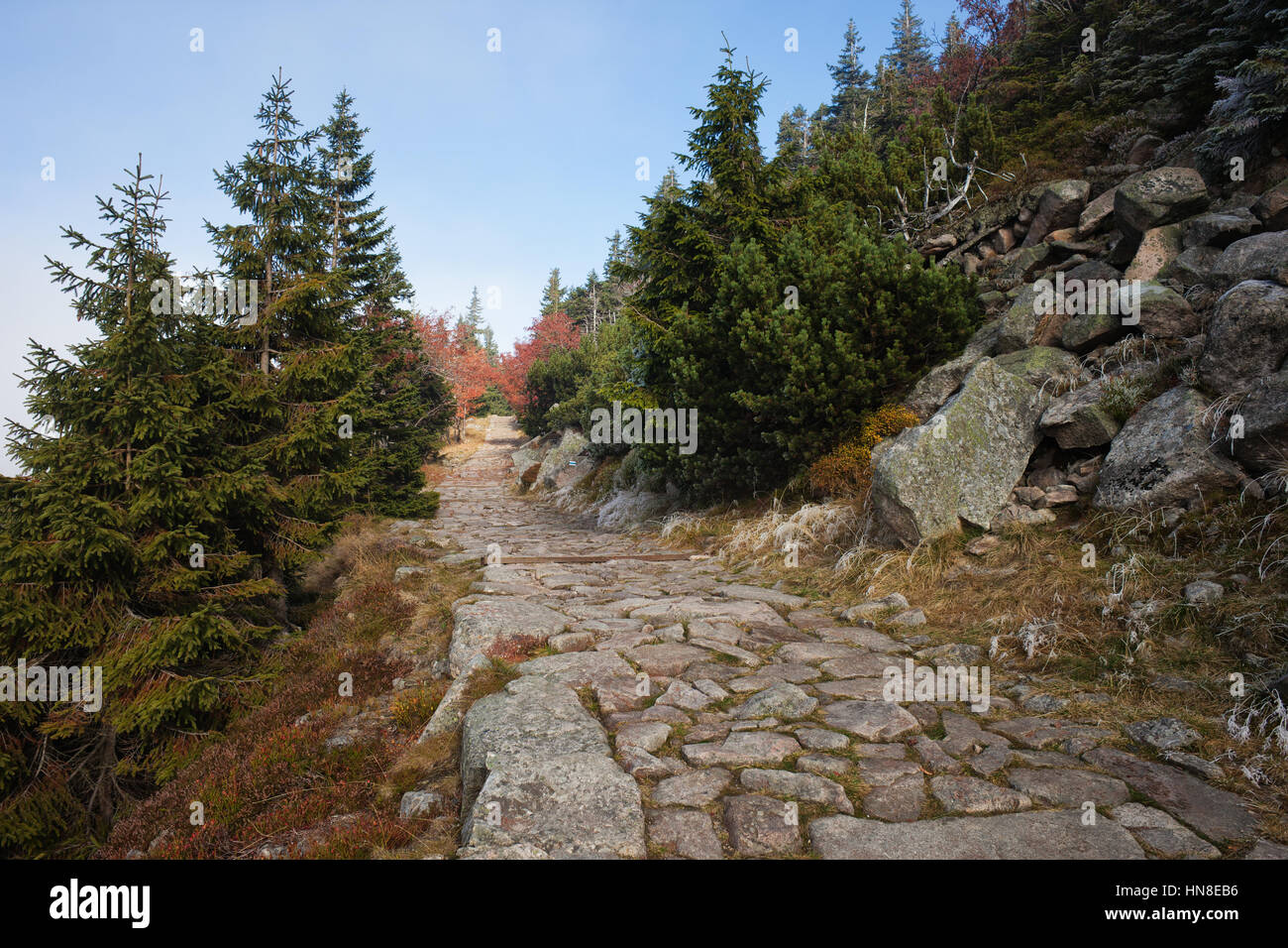 Trail in Karkonosze Mountains, Sudety, Poland, Europe Stock Photo