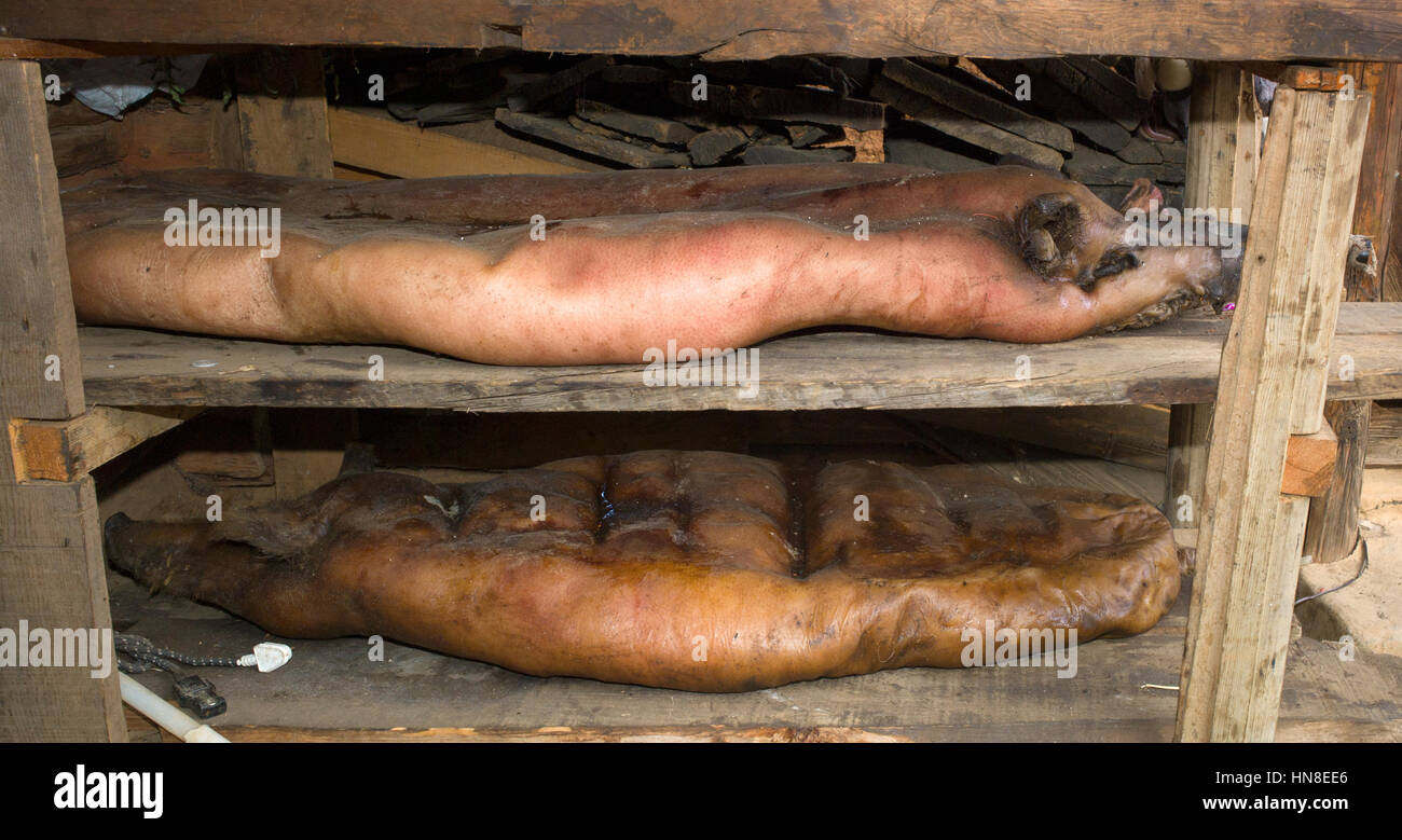 Pig carcasses stuffed with herbs lying on racks in farmyard to dry, Lugu Lake, Yunnan, China Stock Photo