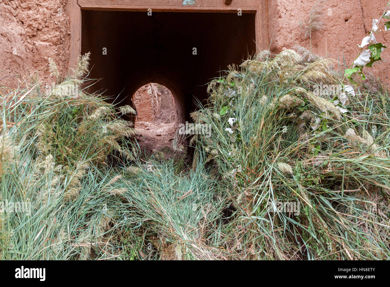 Cut grass outside a house in Toyuq village, Xinjiang Autonomous Region, China. Stock Photo