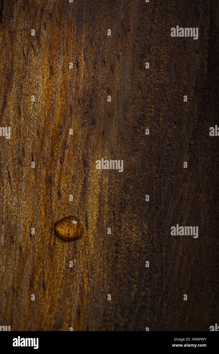 one water drop on dark luxury wood texture Stock Photo