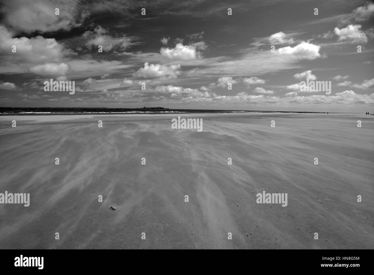 Windy Sand Patterns, Seahouses Beach, North Northumbrian Coast, Northumbria County, England, UK Stock Photo