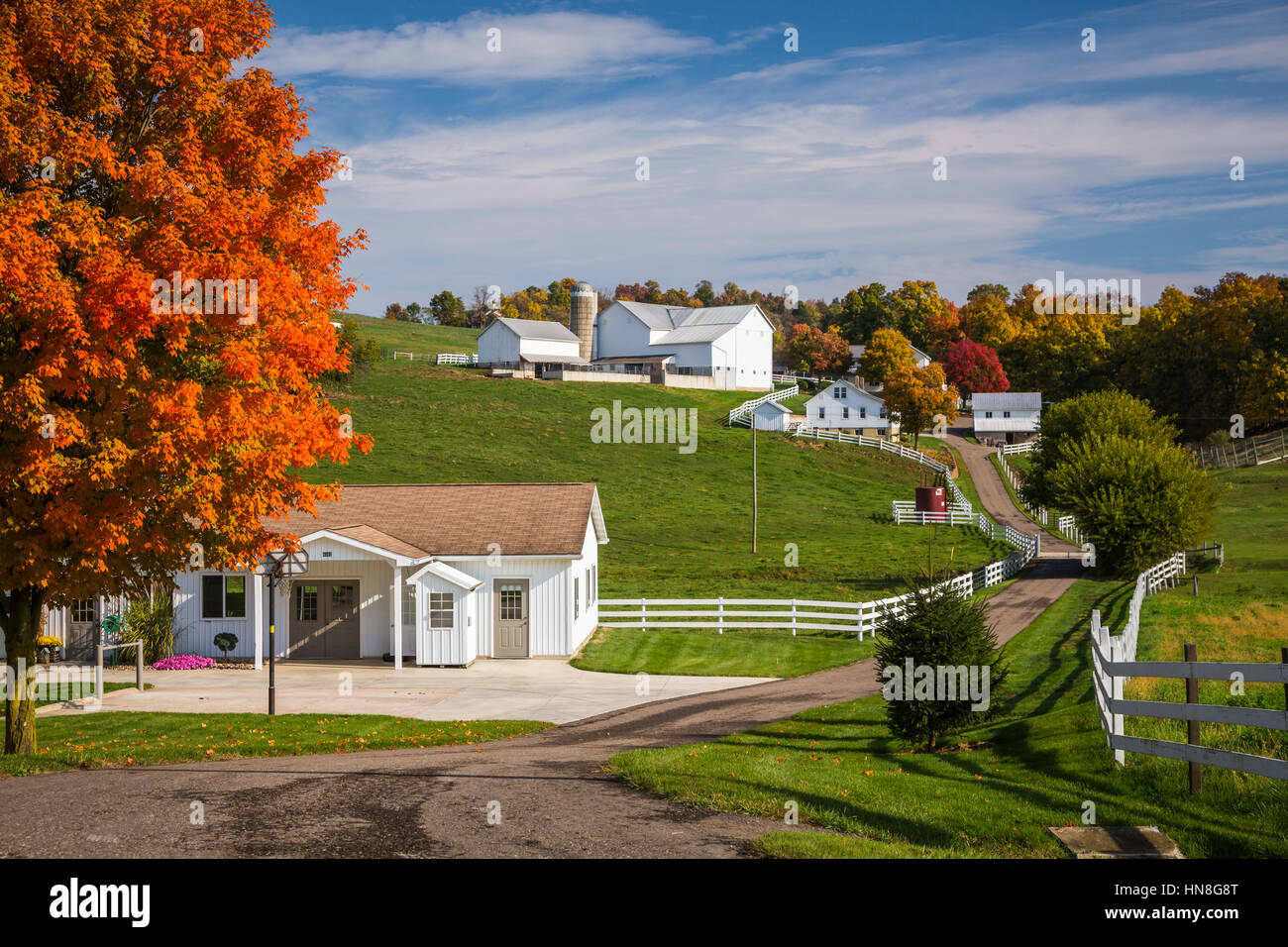 An Amish farm with house and barn near Charm, Ohio, USA Stock Photo - Alamy