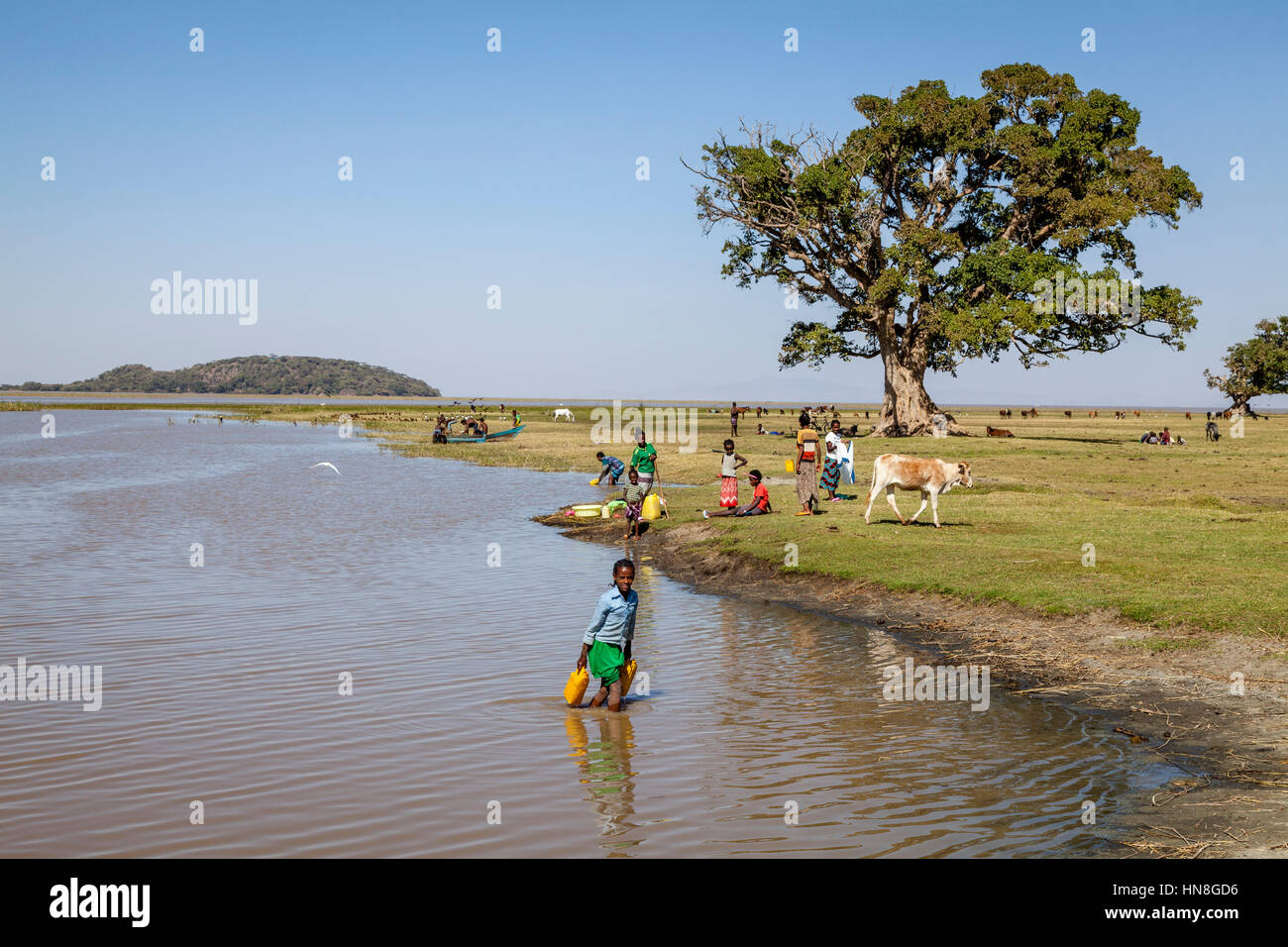 A Young Ethiopian Girl Collects Water From The Lake, Lake Ziway, Ethiopia Stock Photo