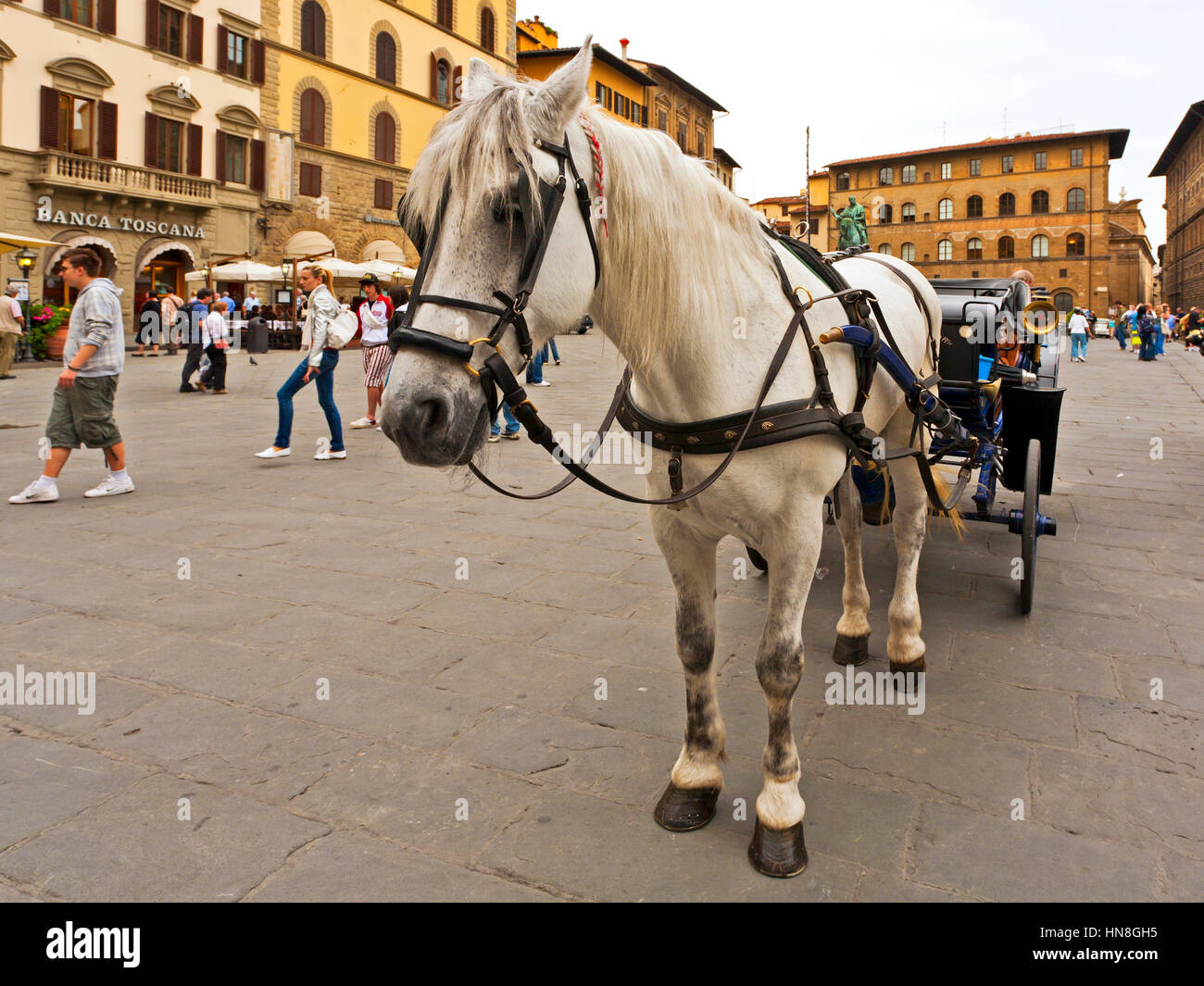 Horse drawn carriage florence hi-res stock photography and images - Alamy