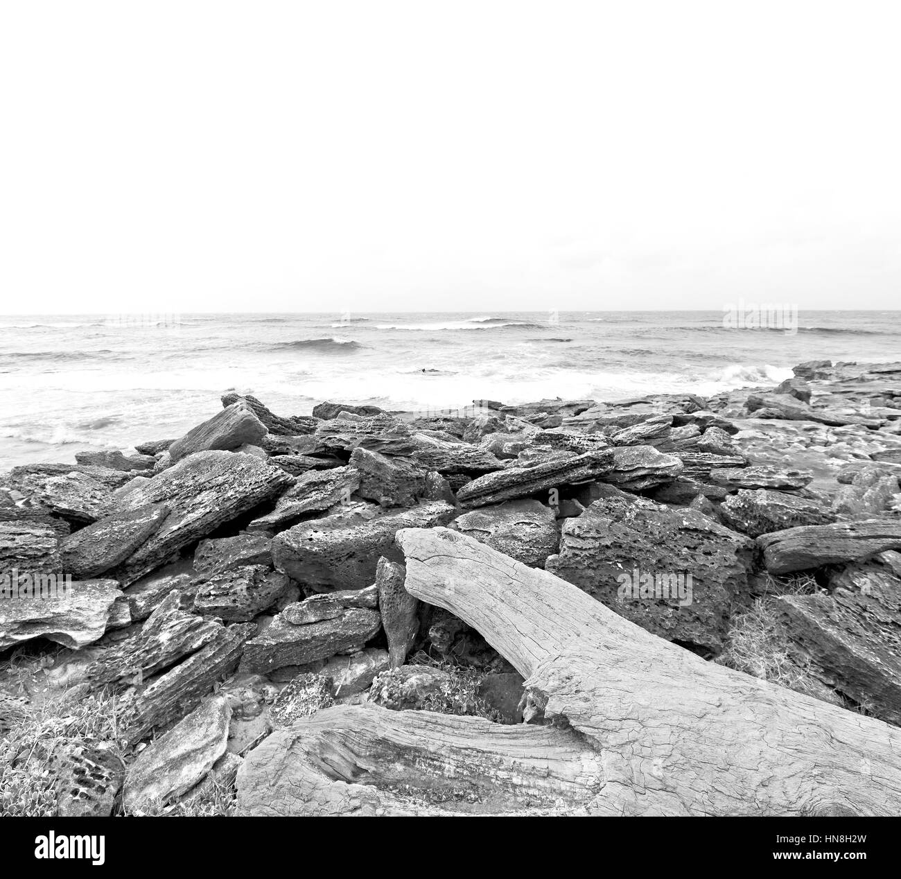 blur in south africa   sky ocean  isimagaliso reserve nature and rocks Stock Photo