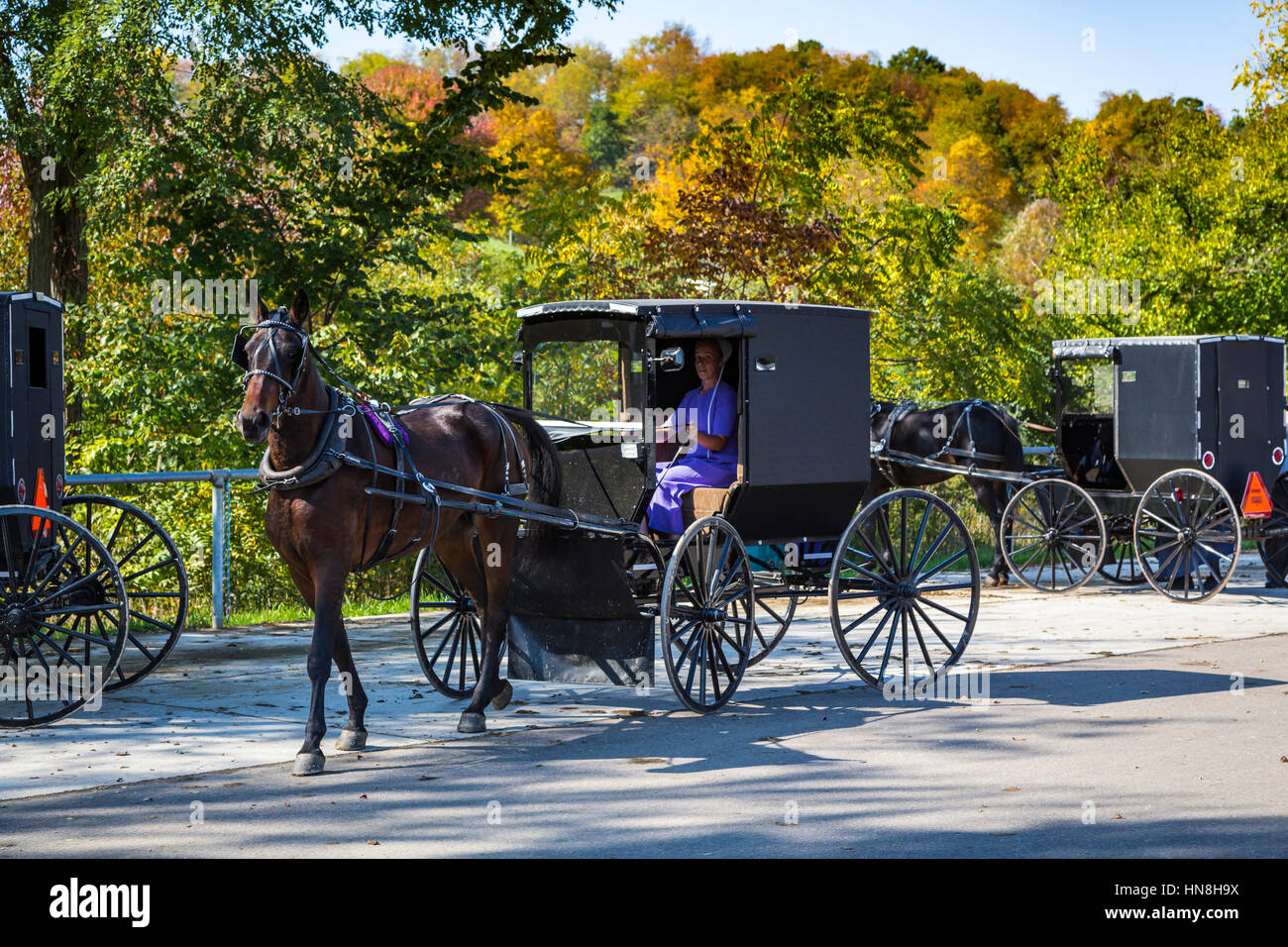 Amish horse and buggy in the countryside near Charm, Ohio, USA Stock
