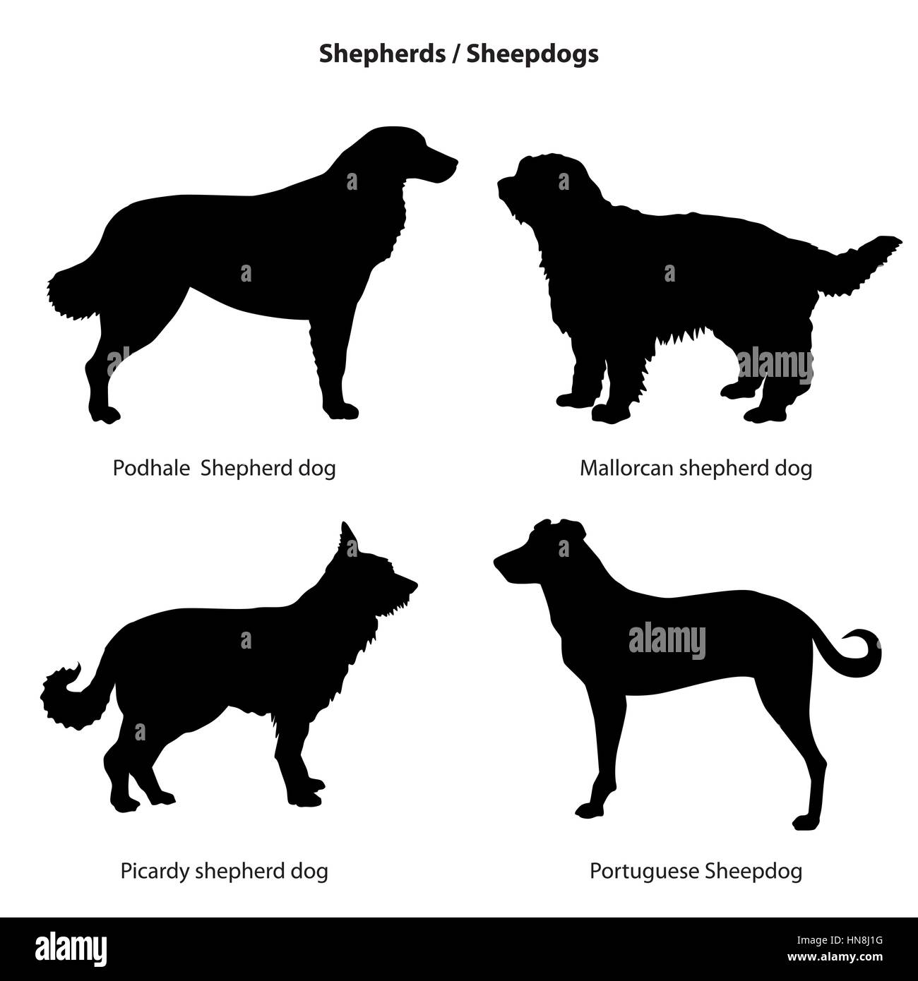 Dog silhouette icon set. Sheped dog collection. Sheedogs. Stock Vector