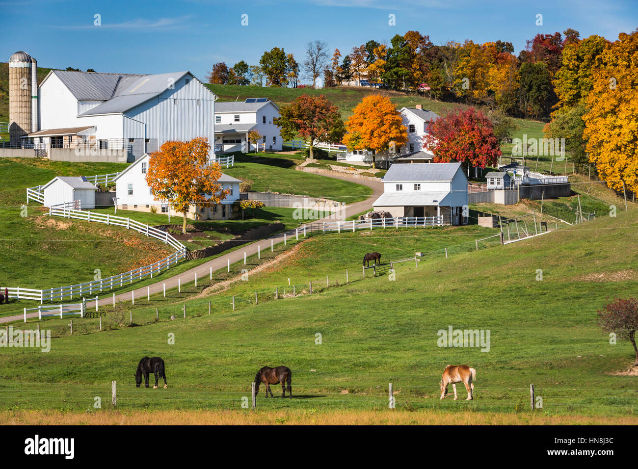 An Amish farm with house, barn and horses near Charm, Ohio, USA. Stock Photo