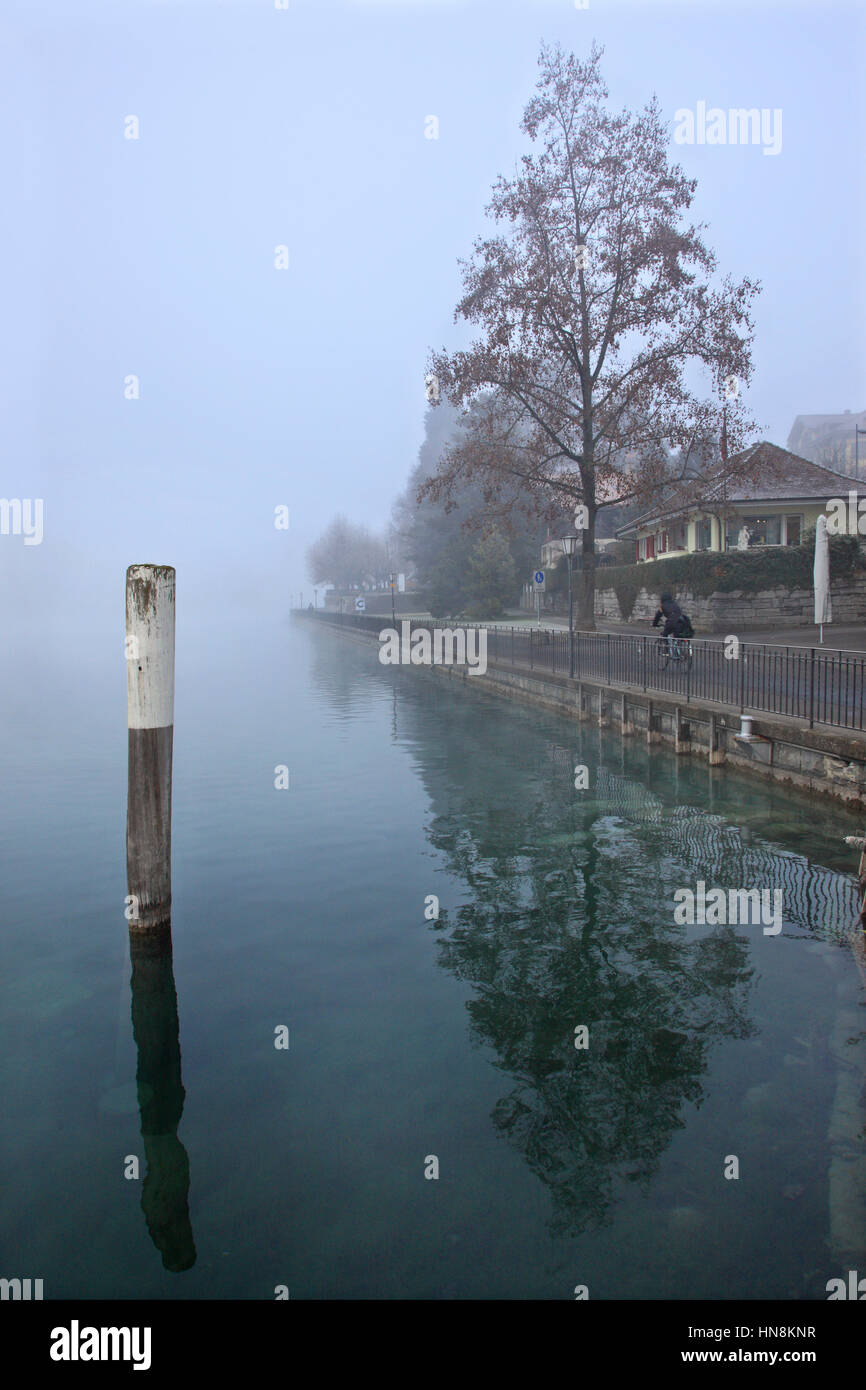 Riverside road by river Aare, Thun town, Bernese Oberland, Switzerland Stock Photo