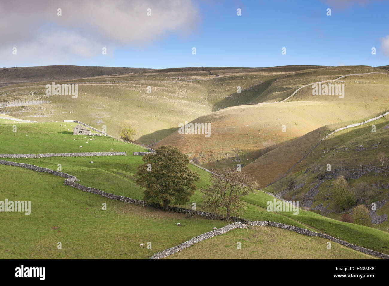 View over typical Yorkshire Dales countryside at Dowber gill above Kettlewell, Wharfedale, Yorkshire Dales National Park, North Yorkshire, UK Stock Photo