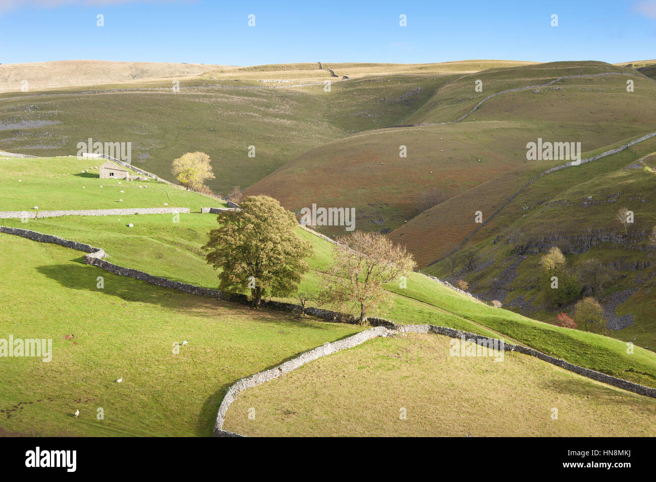 View over typical Yorkshire Dales countryside at Dowber gill above Kettlewell, Wharfedale, Yorkshire Dales National Park, North Yorkshire, UK Stock Photo