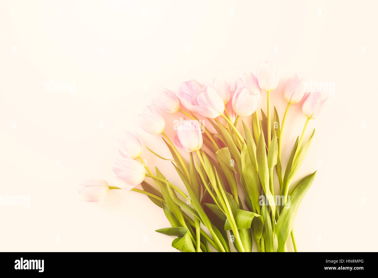 Bouquet of pink tulips on a white background Stock Photo - Alamy
