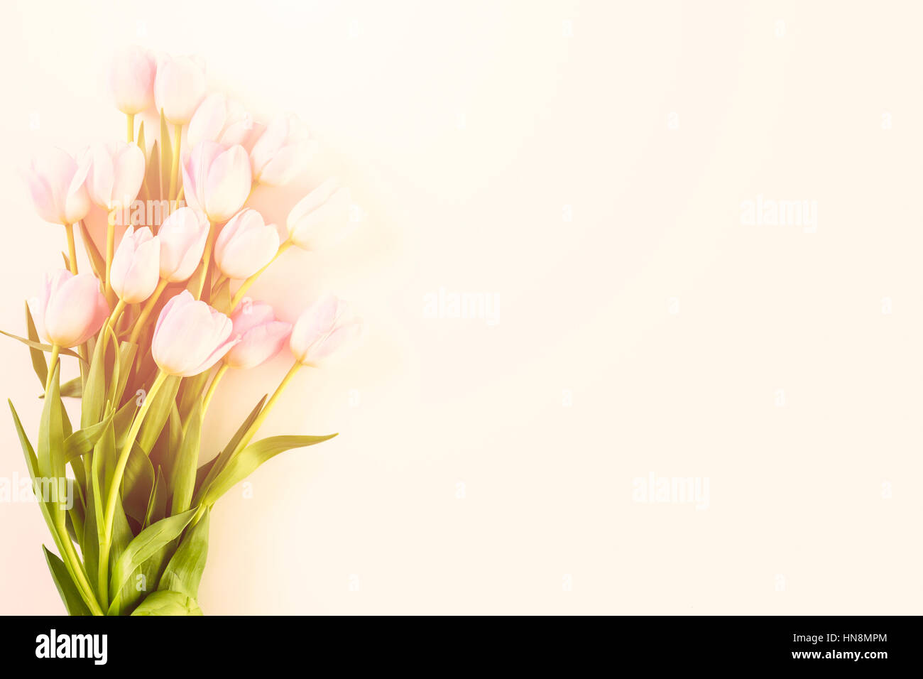 Bouquet of pink tulips on a white background Stock Photo - Alamy