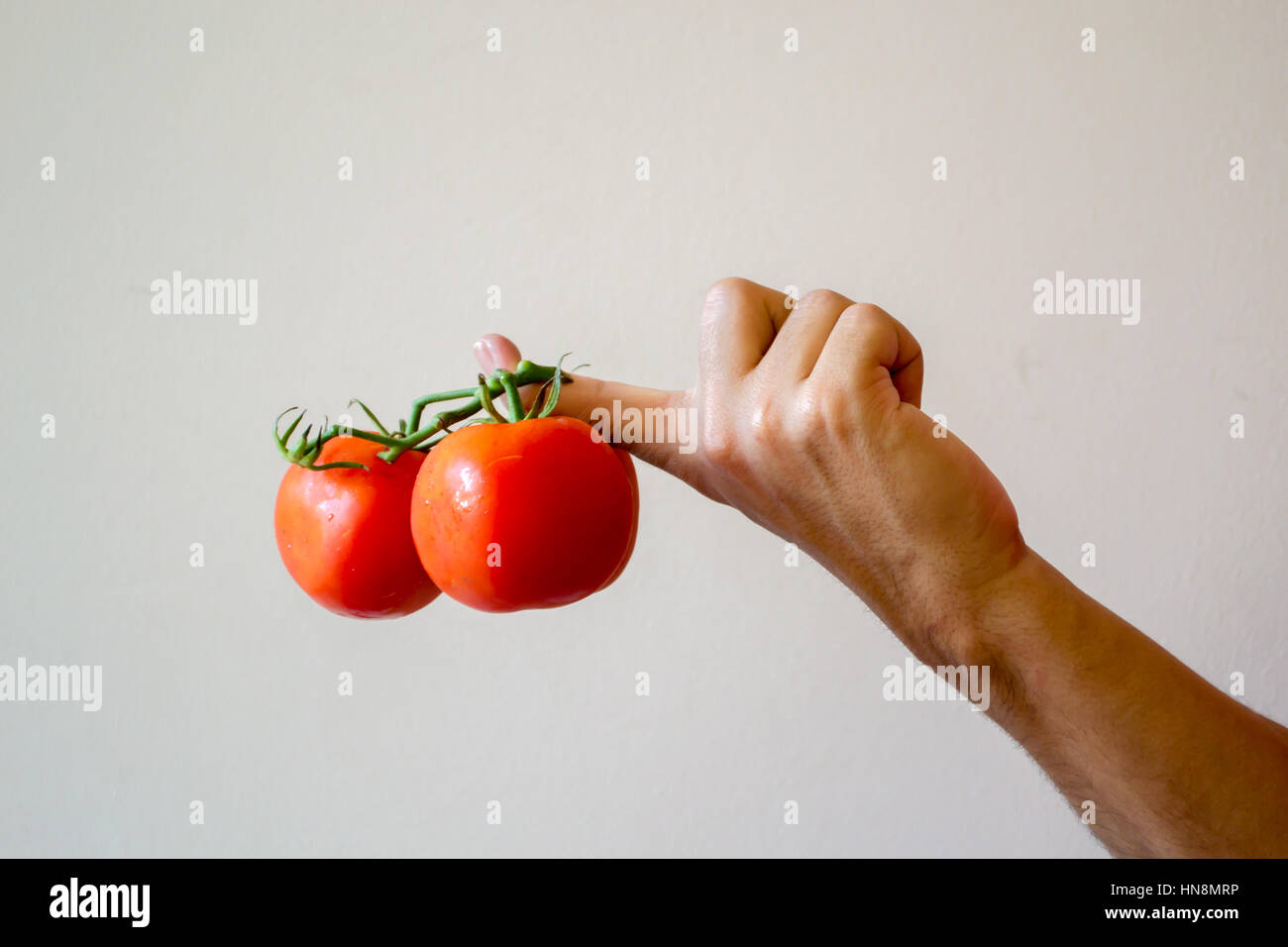 Holding red tomatos with a white background Stock Photo