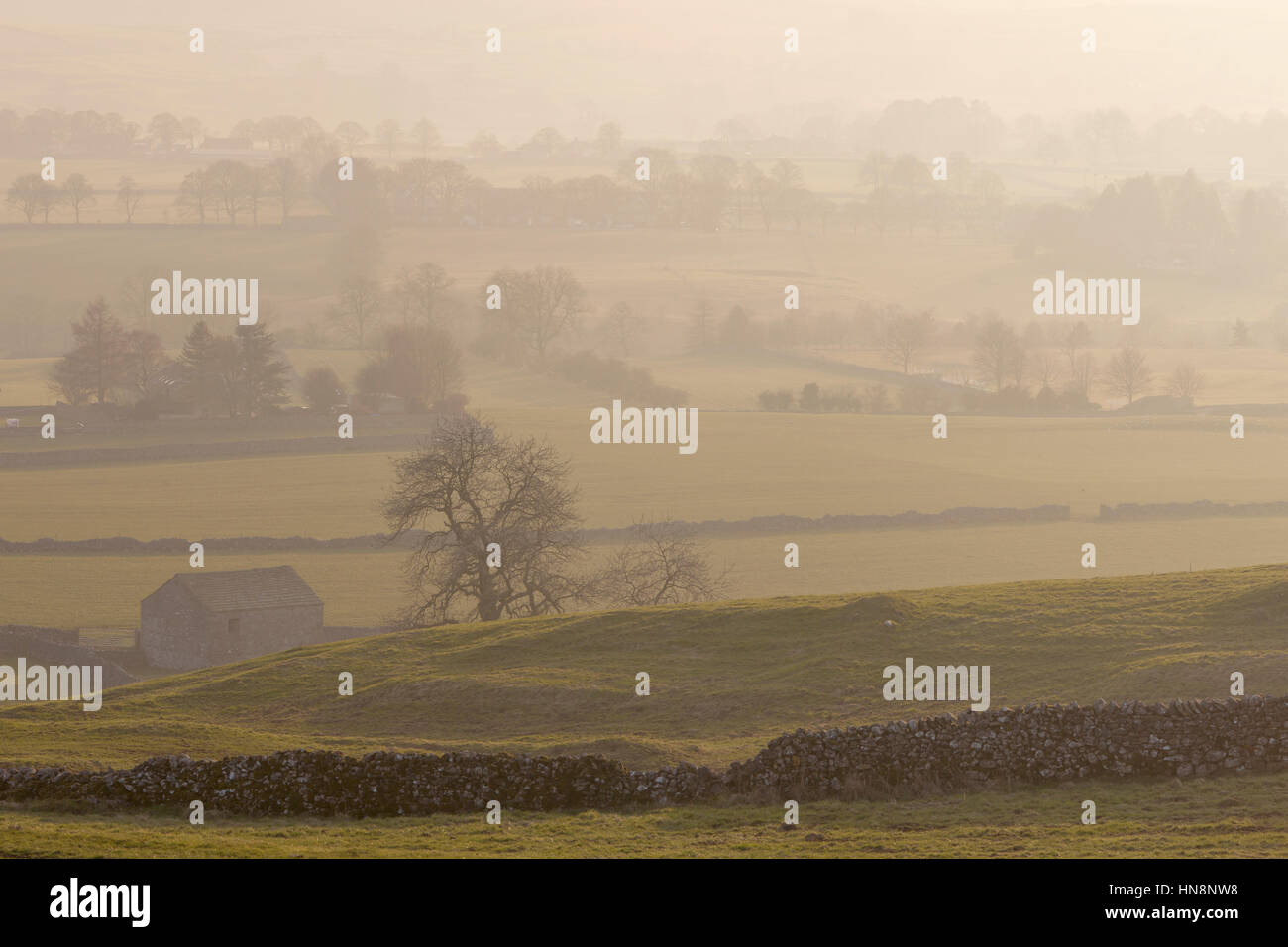 Misty view over the dry stone walls and fields of Wharfedale from the Dales Way Footpath near Grassington, Wharfedale, Yorkshire Dales National Park,  Stock Photo