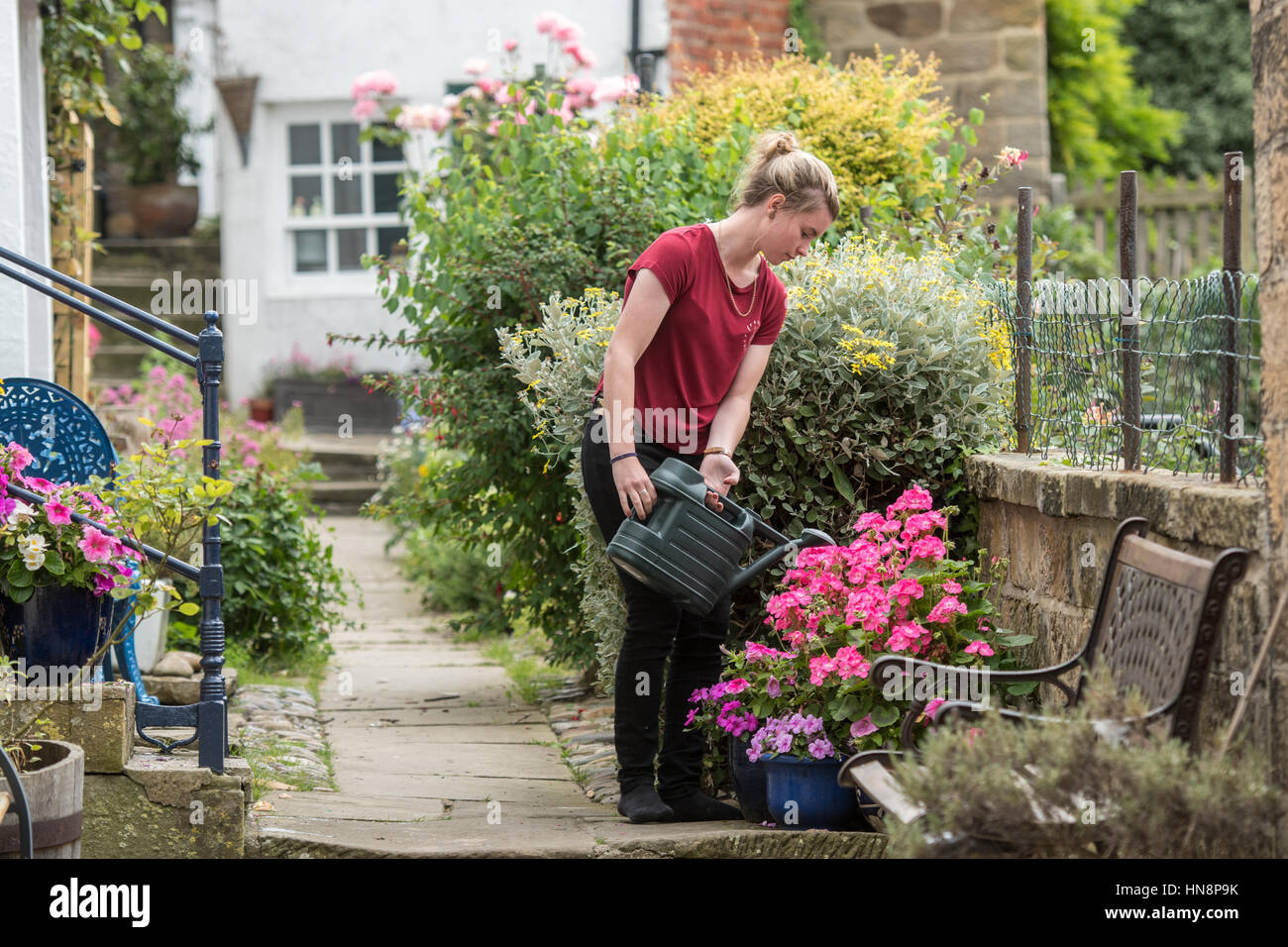UK, England, Yorkshire - A young woman watering her flowers in a small fishing village called Robin Hood's Bay, located on the coast of North Yorkshir Stock Photo