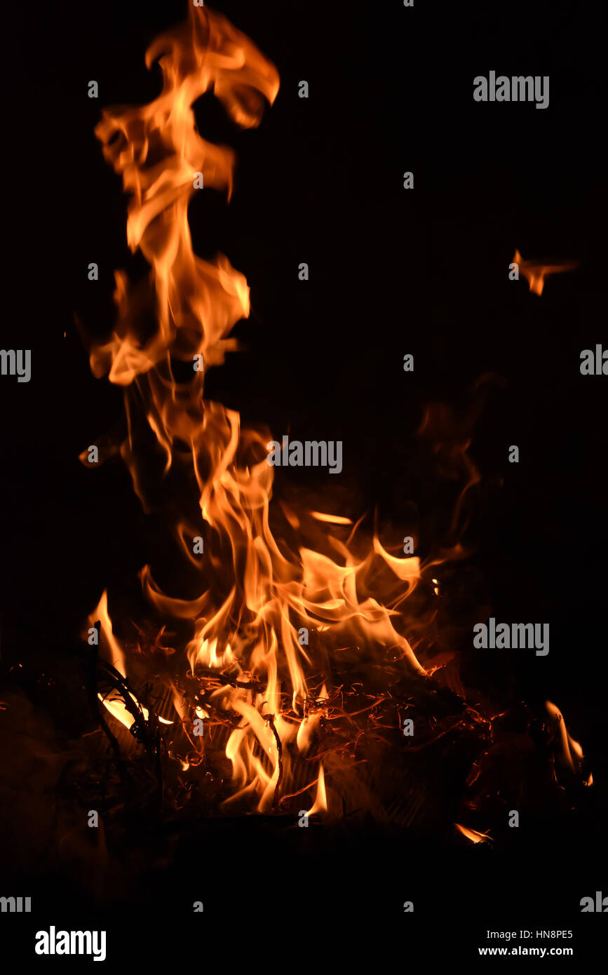 Abstract closeup of burning fire on black background. Stock Photo