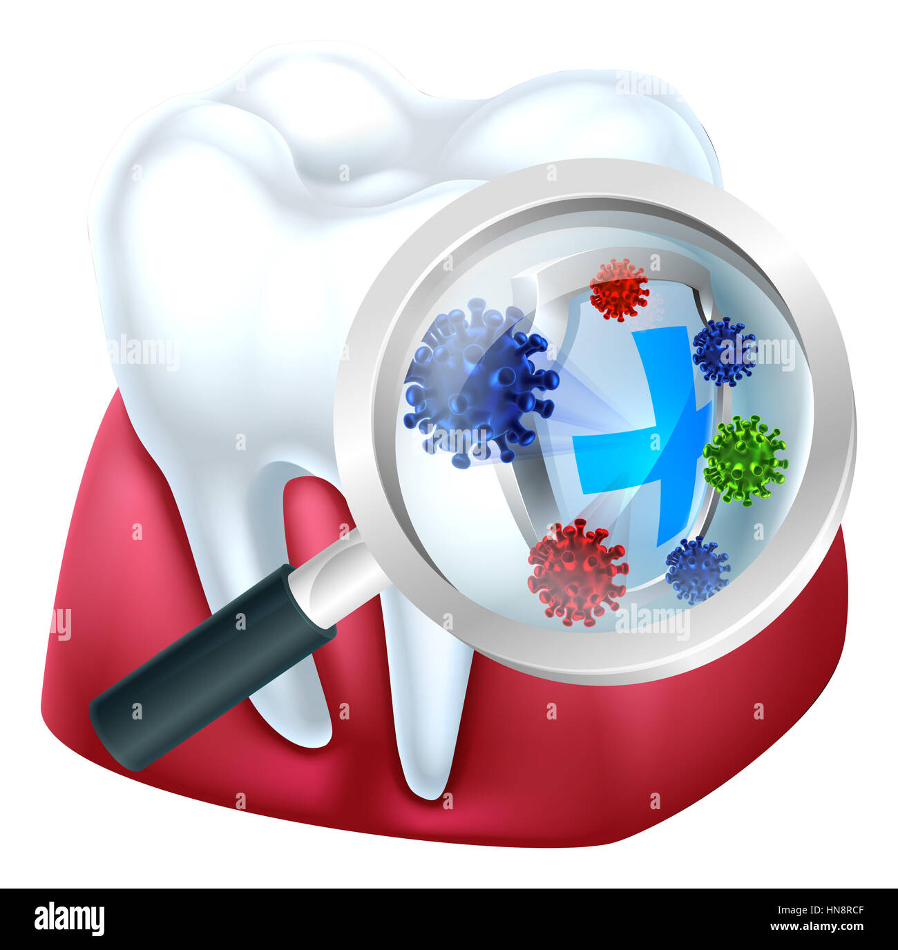 Tooth and gum being protected from bacteria by a shield viewed through ...