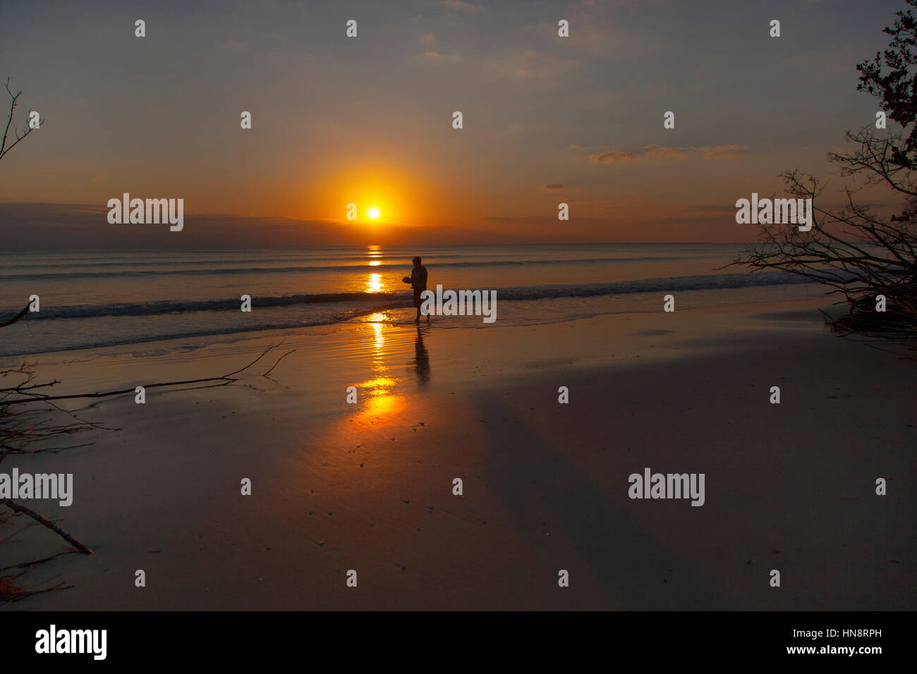 Shell Colecting at sunset on Fort Myers beach Florida USA Stock Photo