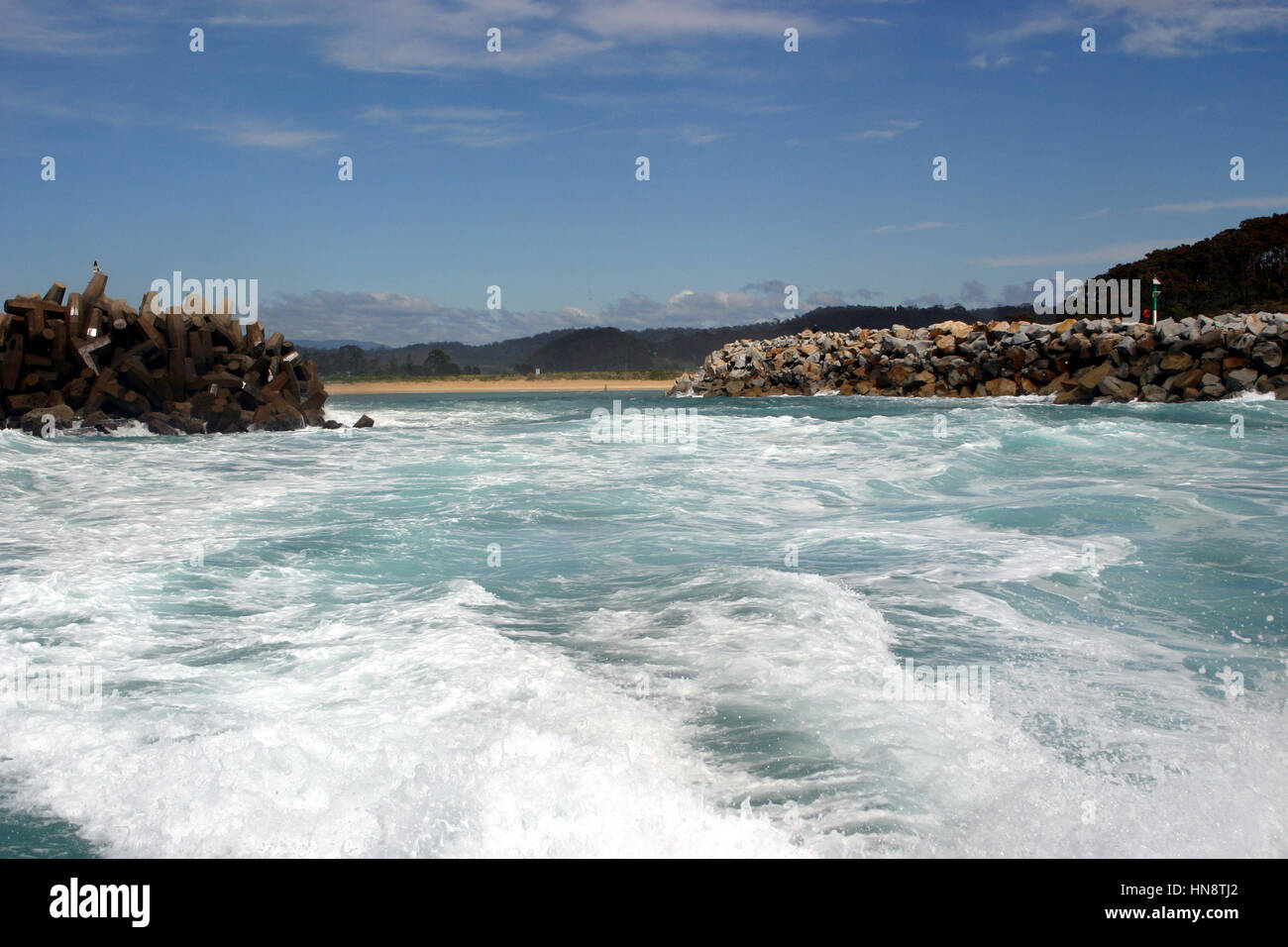 Australian white humpback whale hi-res stock photography and images - Alamy