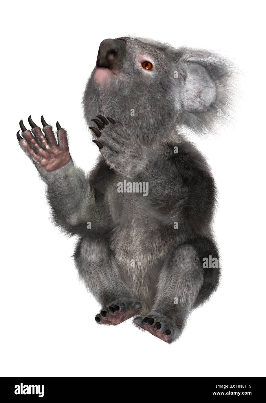 3D rendering of a cute koala bear isolated on white background Stock ...