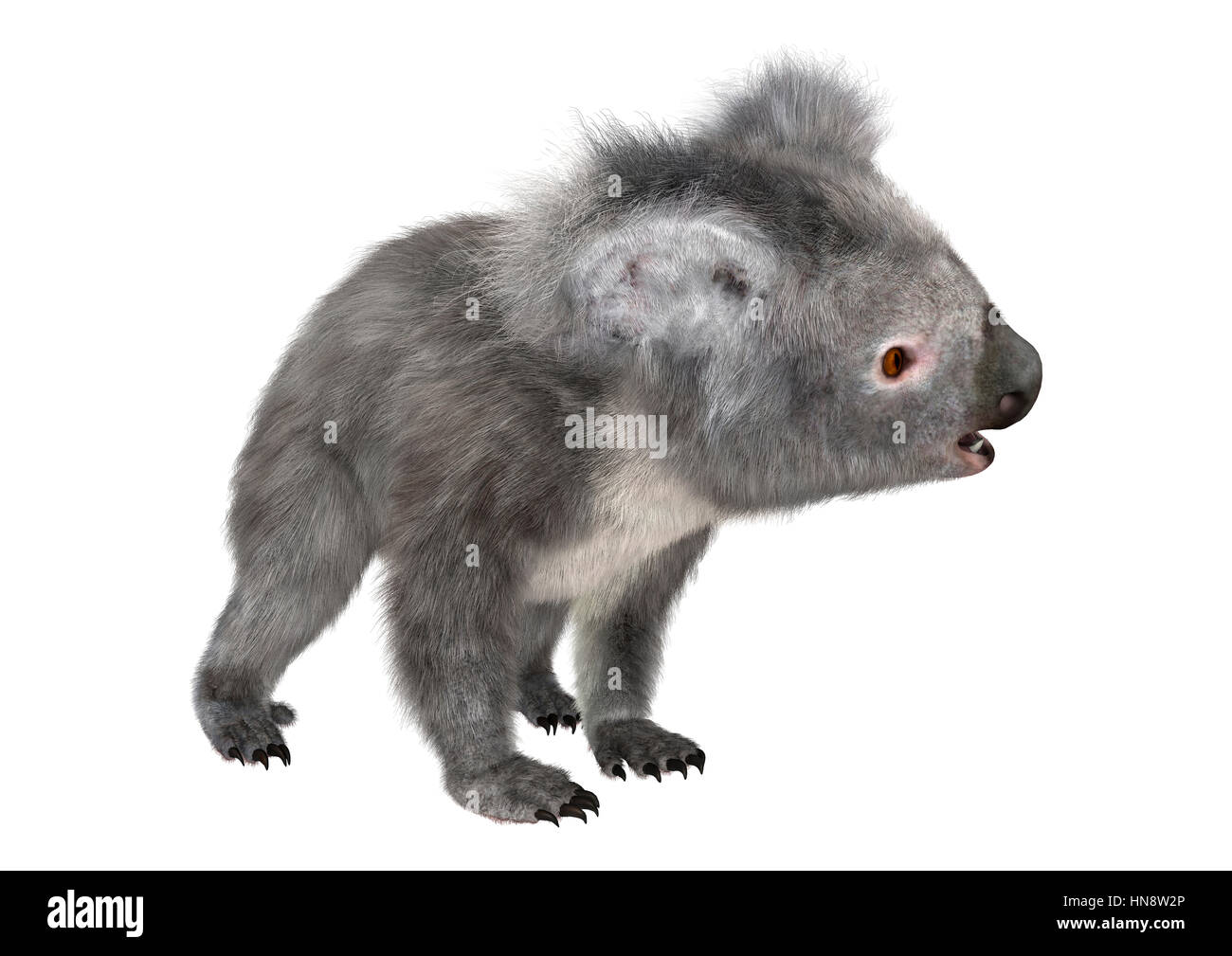 3D rendering of a cute koala bear isolated on white background Stock ...