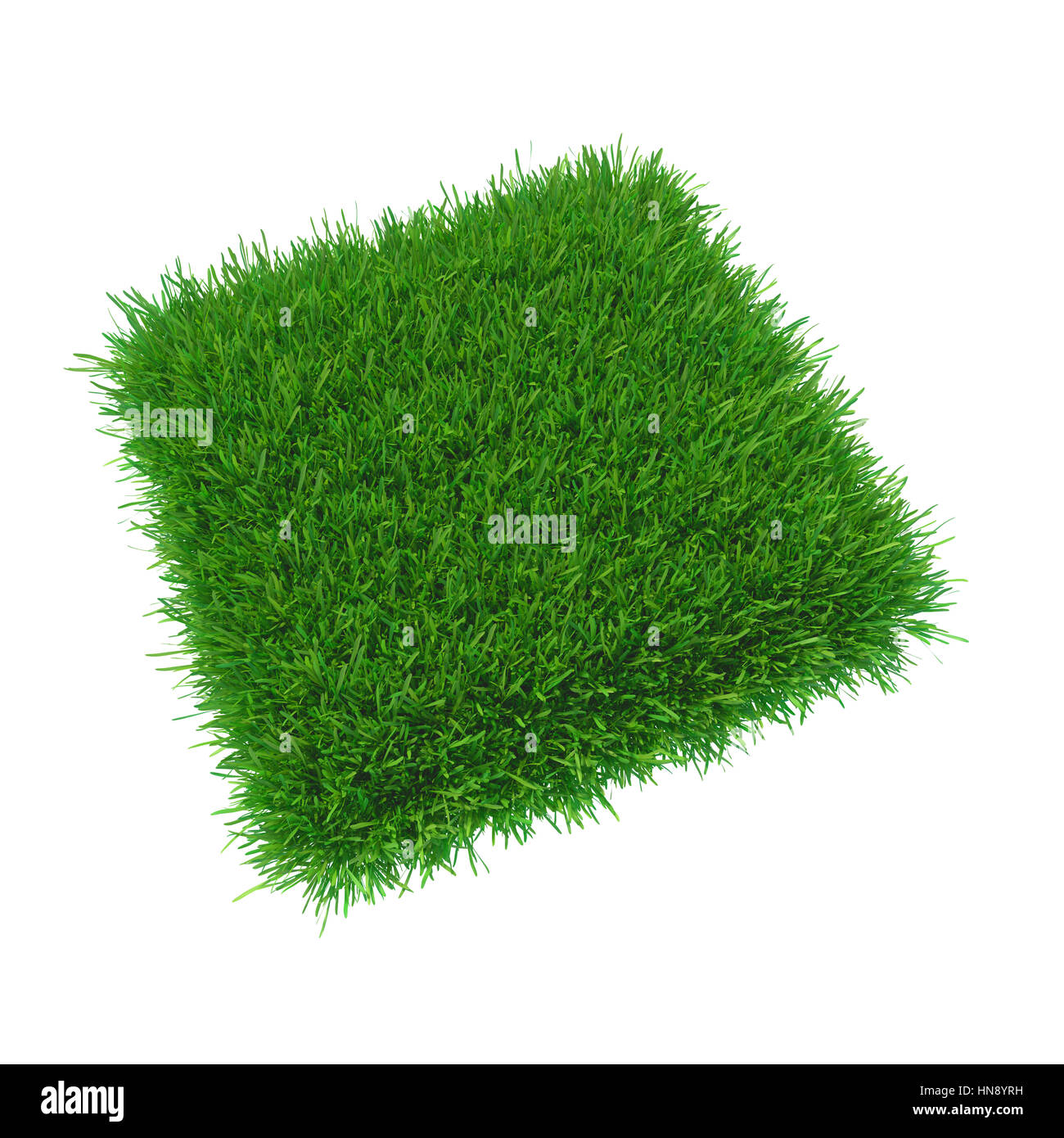 Nature fresh grass square Stock Photo Alamy