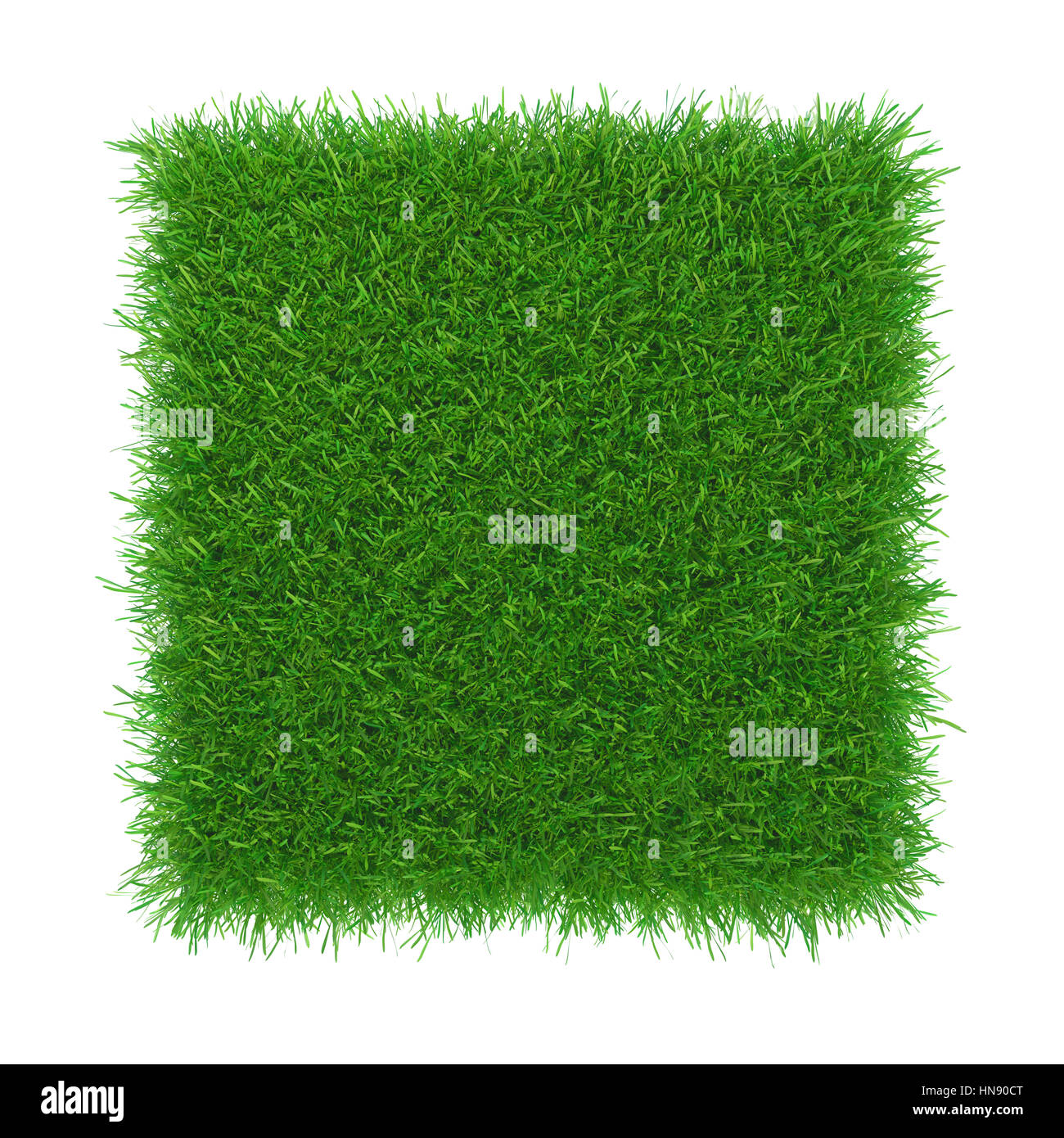 Grassland background Cut Out Stock Images & Pictures - Alamy
