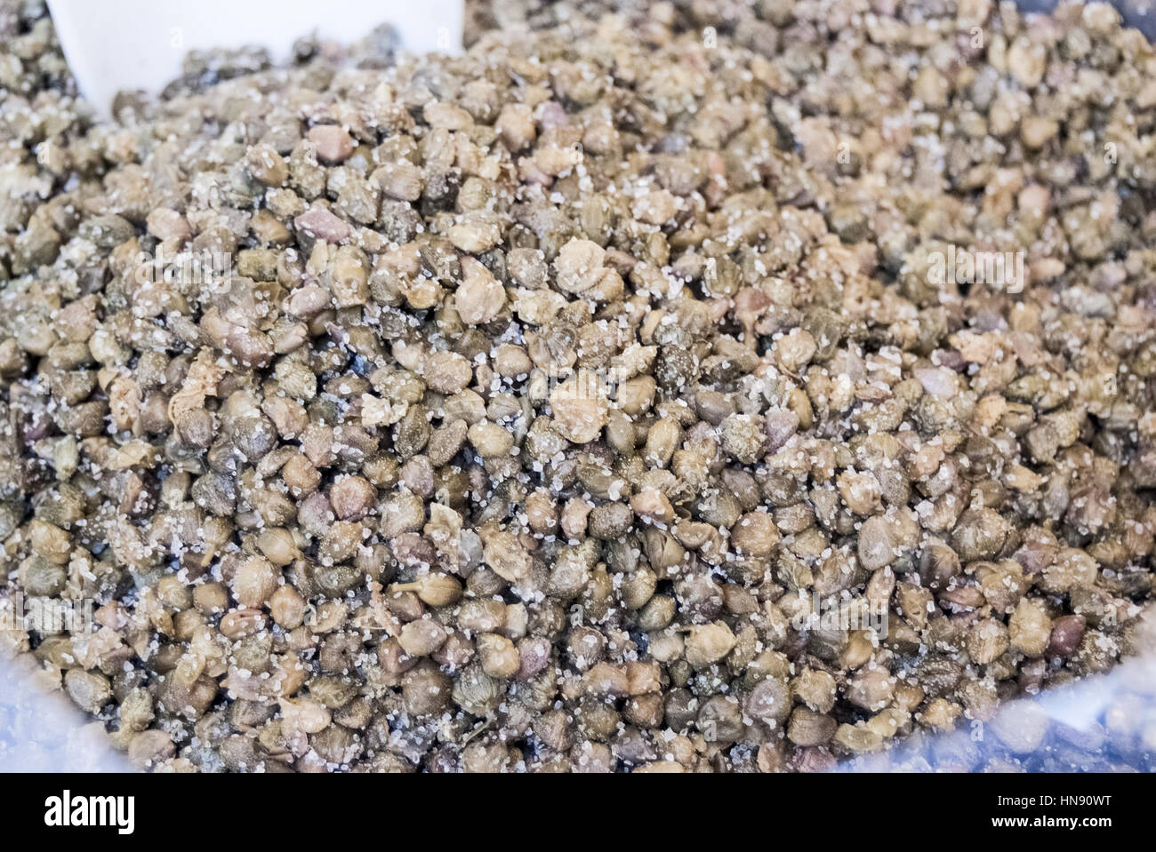 capers in salt Stock Photo Alamy