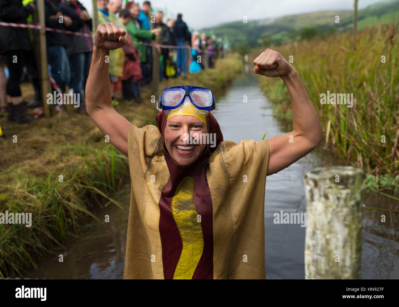 Annual bog snorkelling championship event at Llanwrtyd Wells in Wales, UK. Stock Photo