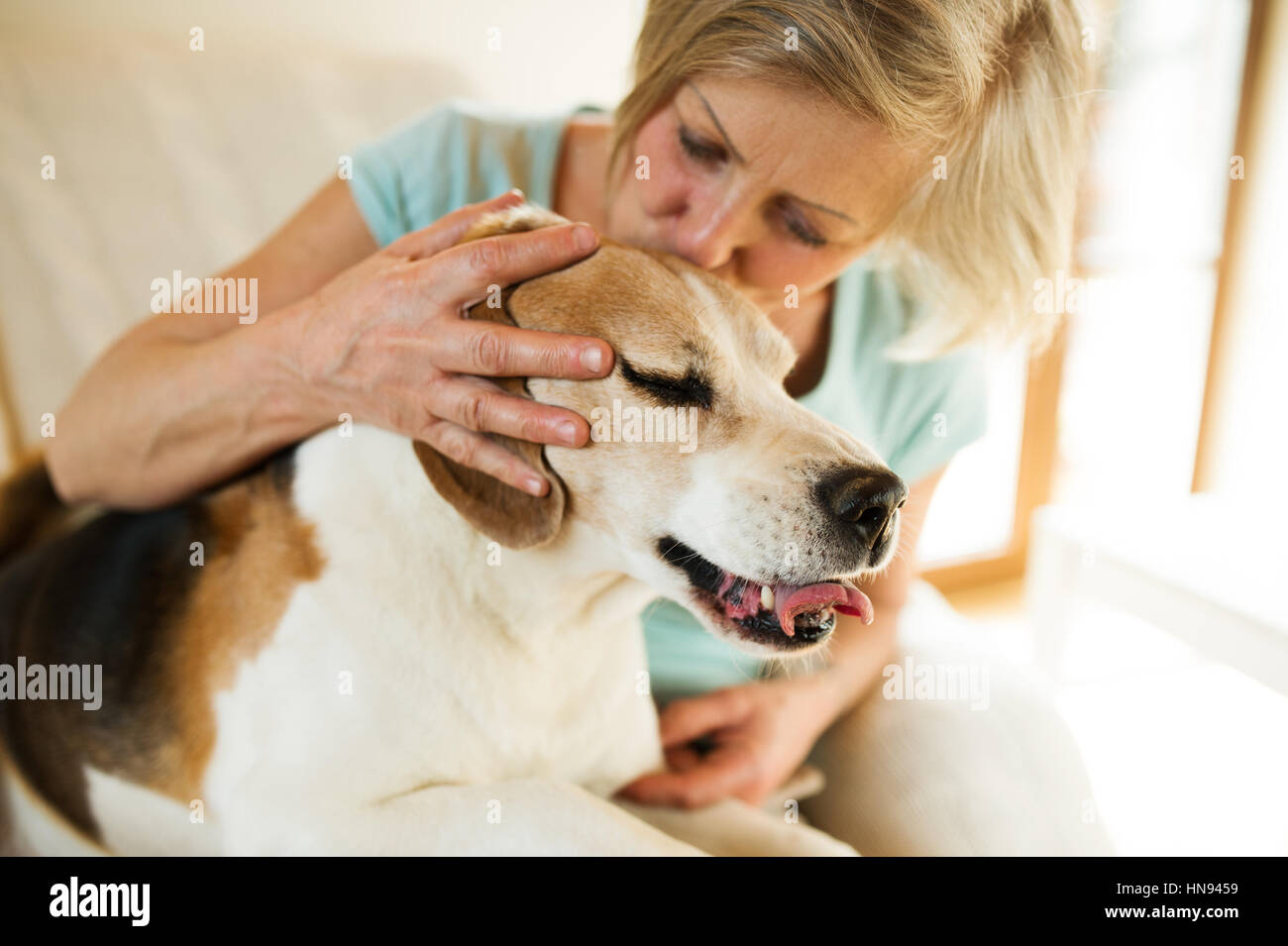 Senior woman with her dog at home relaxing Stock Photo - Alamy