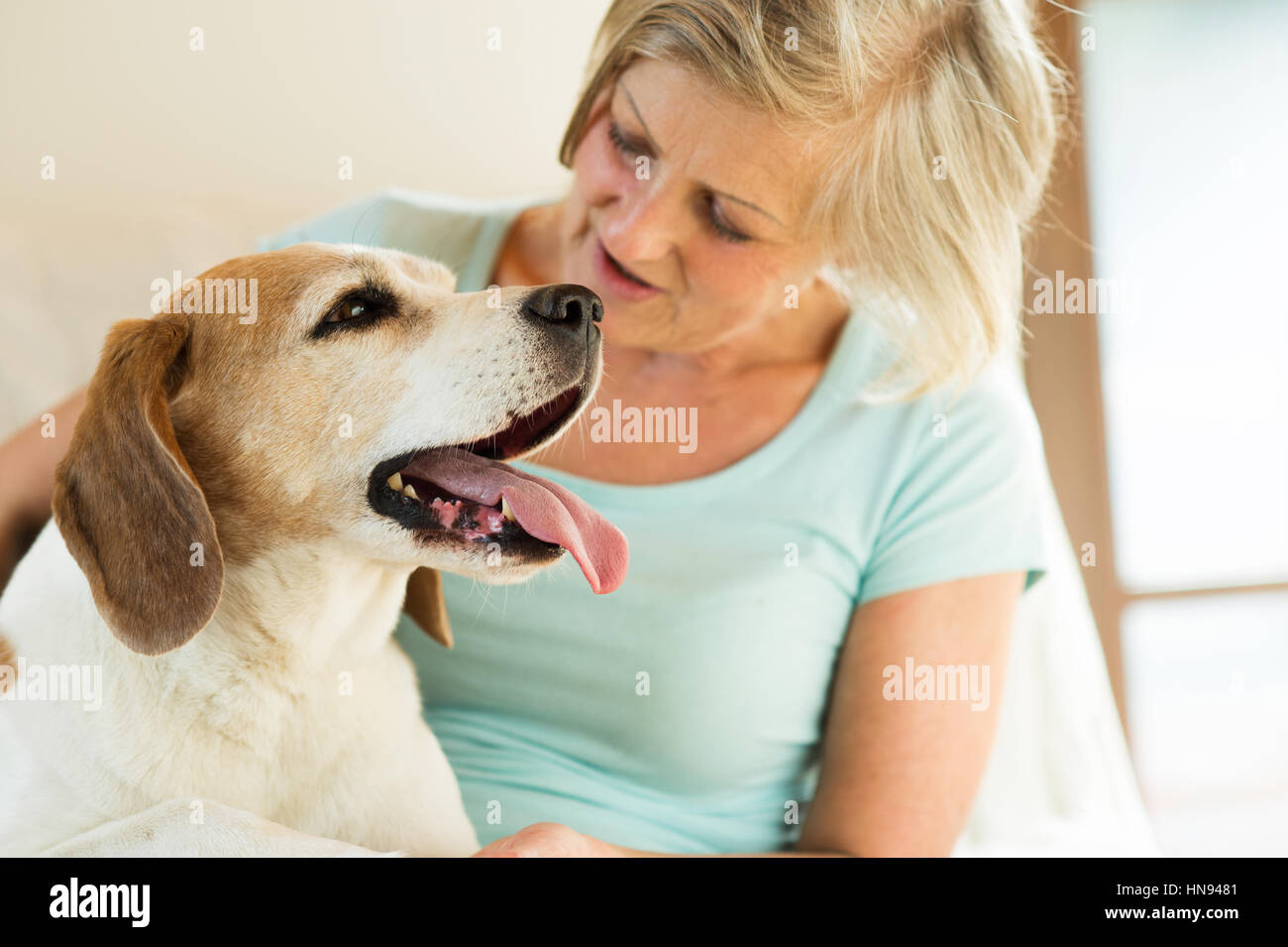 Senior woman with her dog at home relaxing Stock Photo - Alamy