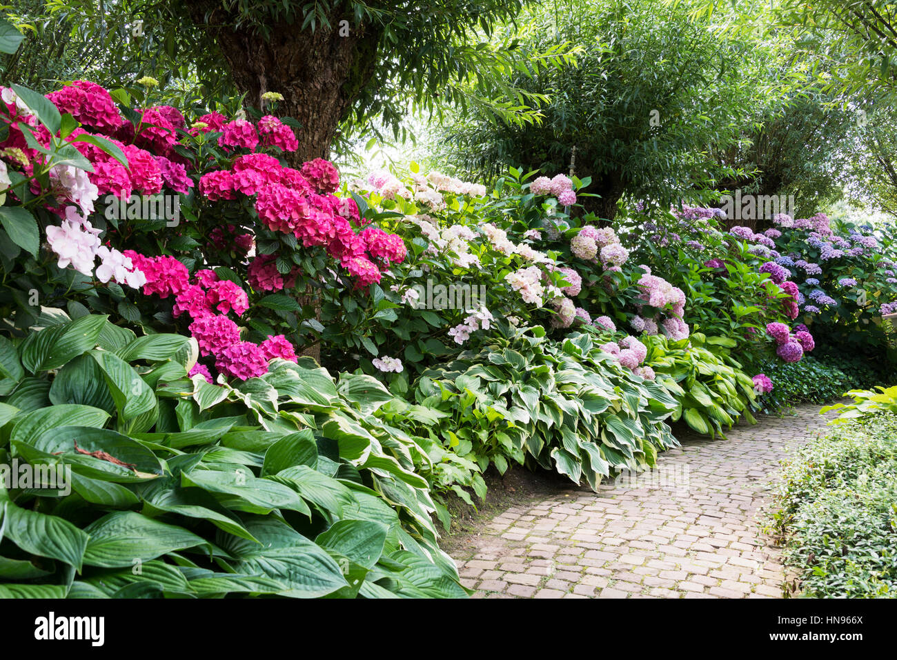 english garden full of flowering plants as azalea and rhododendrons Stock Photo